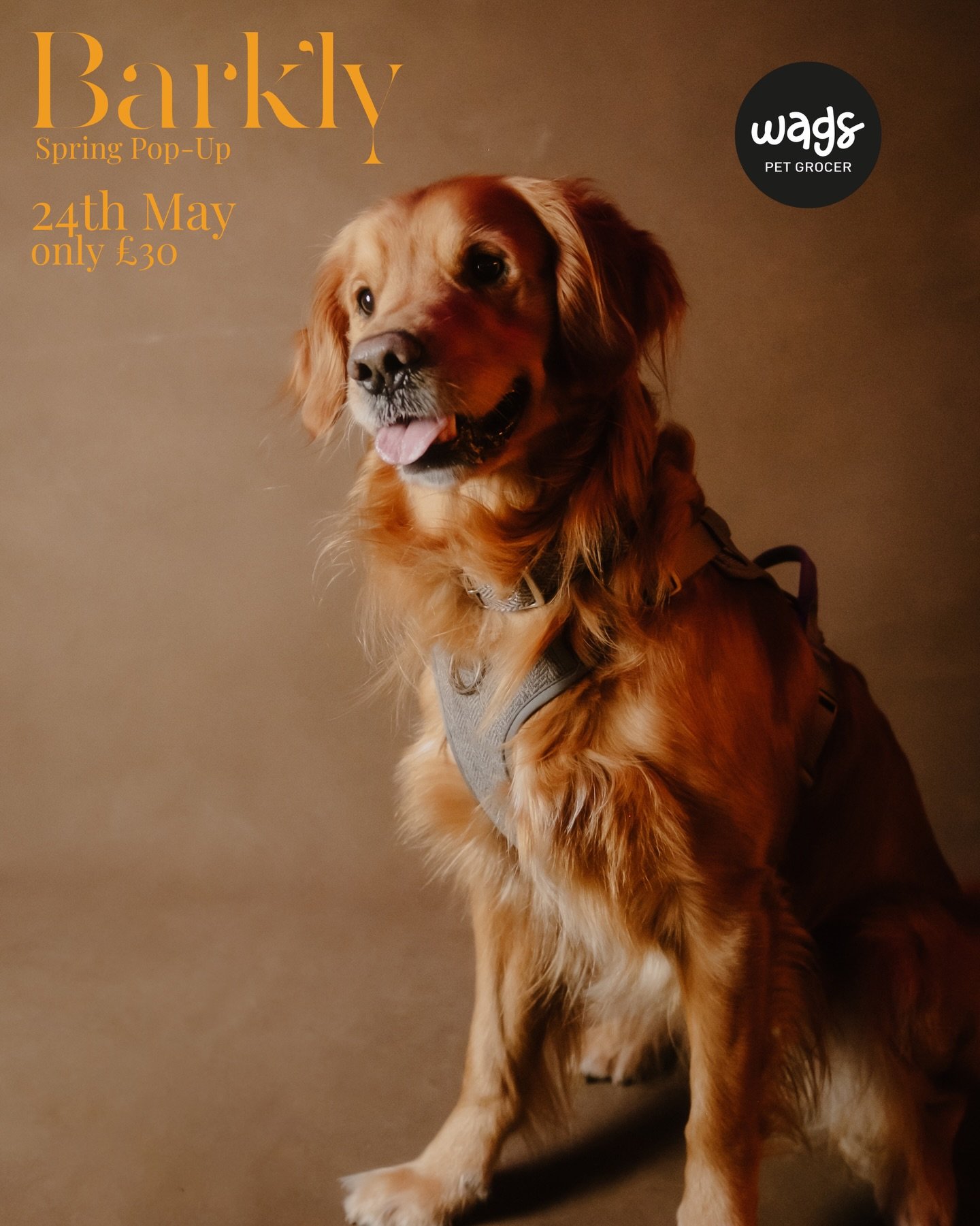 We can&rsquo;t stop, won&rsquo;t stop! Our next pop-up is MAY 24 at @wagspetdunblane from 11am-2pm!! It&rsquo;s going to be so good (and the creamy brown backdrop is coming out to play).

Whether you&rsquo;ve come to a shoot before or this is your fi