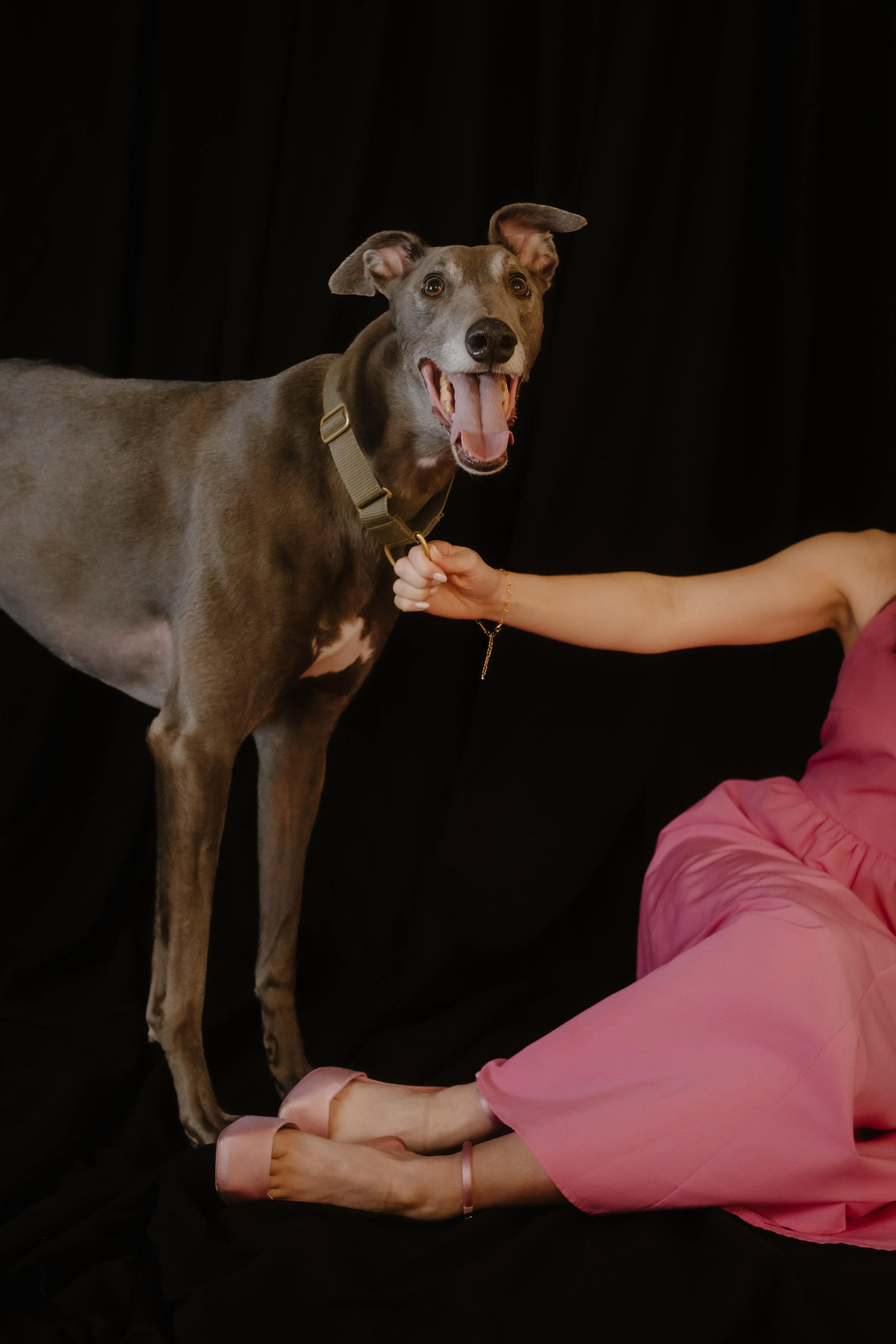 024-2025-11-39 Bark'ly.jpg