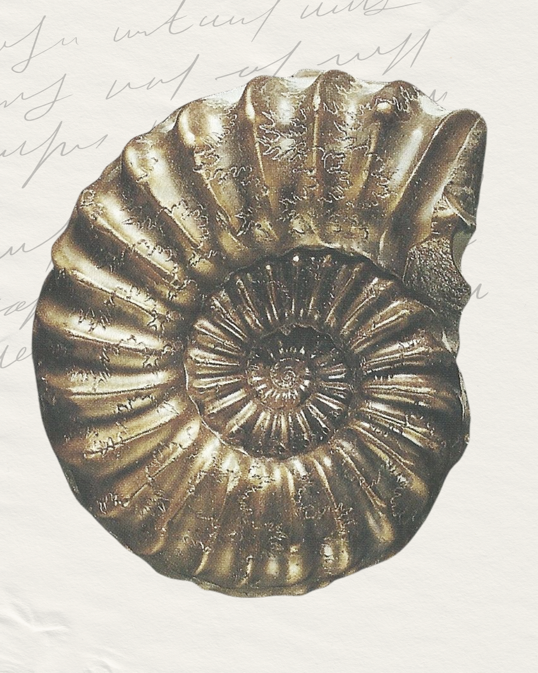 Curadoria de Elementos Visuais (Canva)