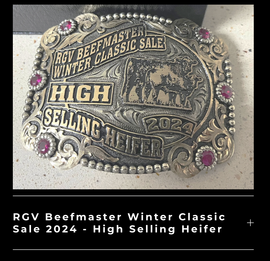 A decorative silver belt buckle with engraved text reading 'RGV Beefmaster Winter Classic Sale 2024 - High Selling Heifer' and an image of cattle. The buckle is adorned with pink gemstones and intricate floral designs.