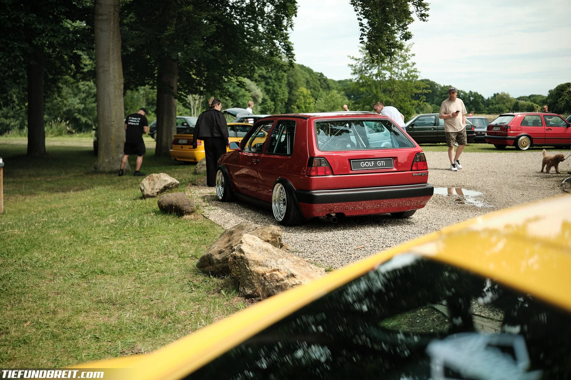 DSCF7382.jpg