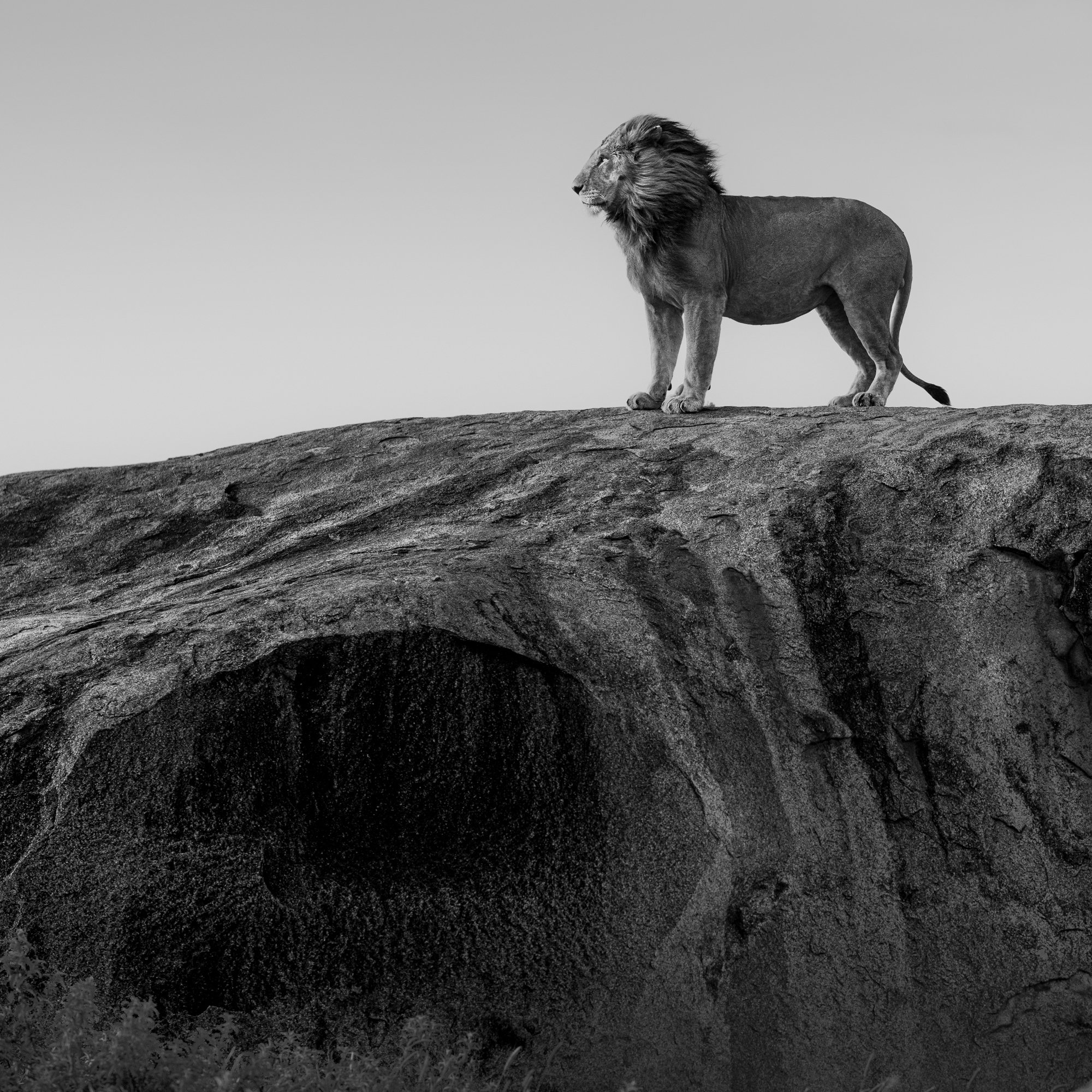 Tanzania | Coming Soon