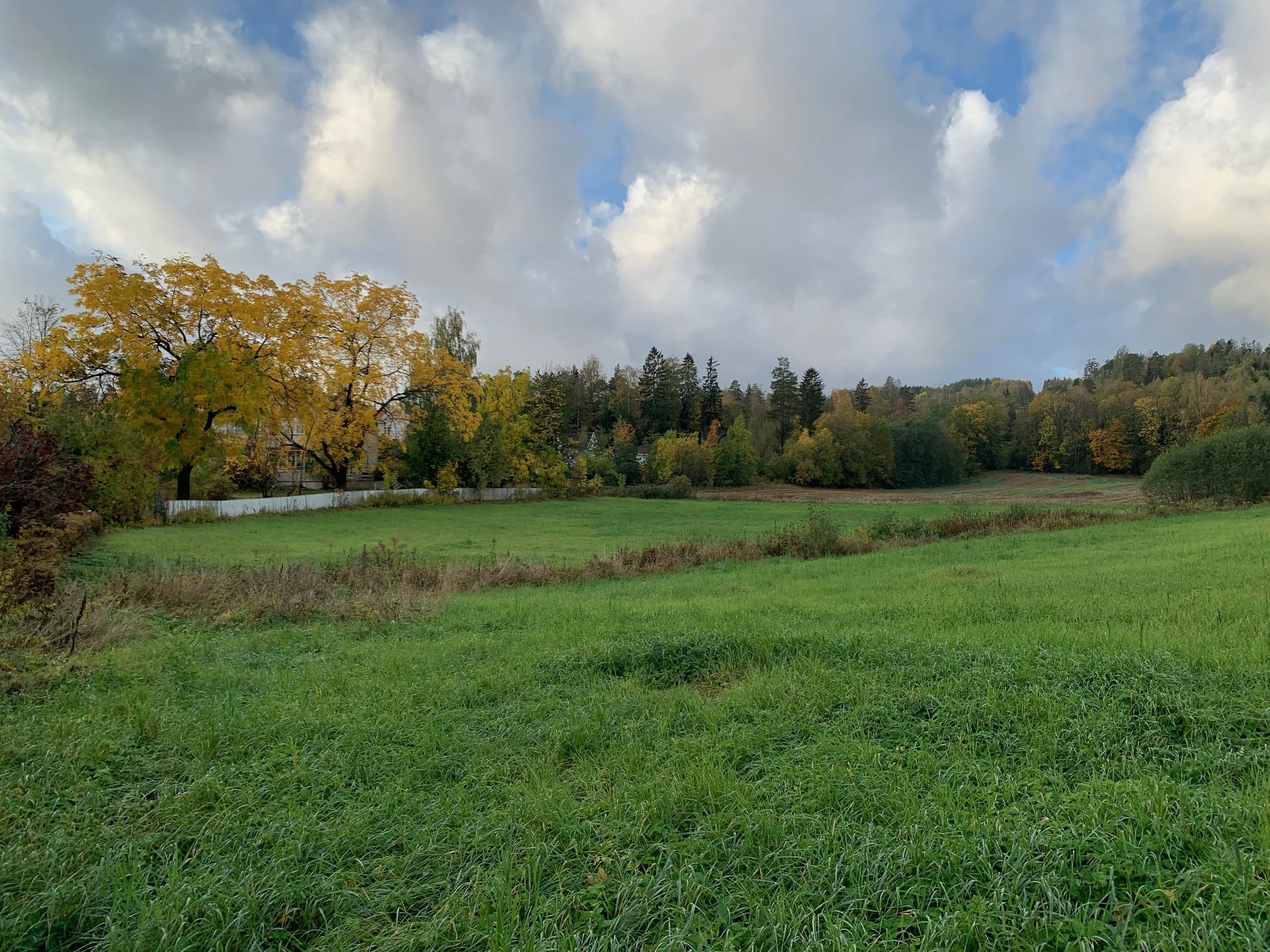 Området er åpent, solfylt og rolig. 