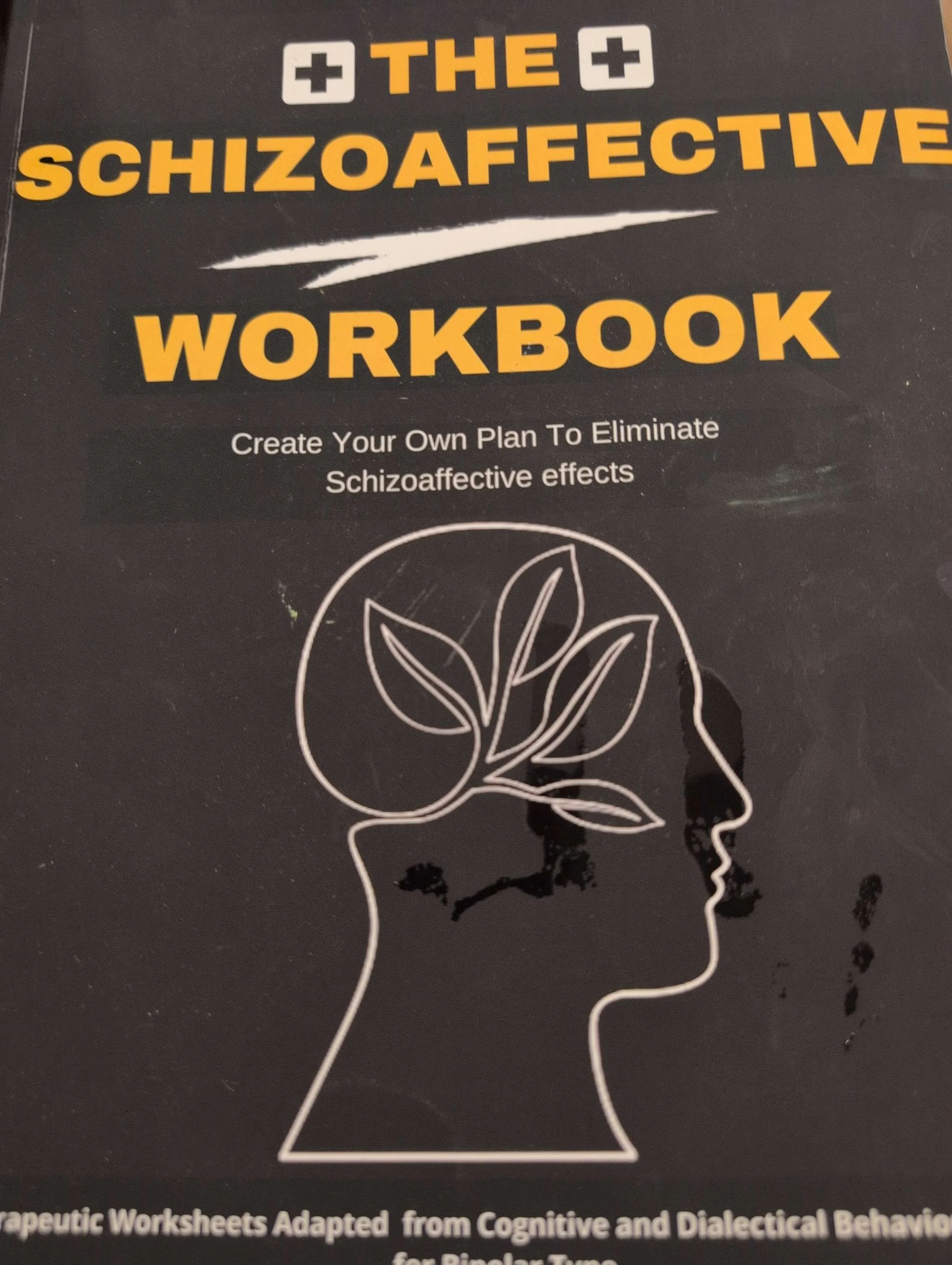 The Schizoaffective Workbook