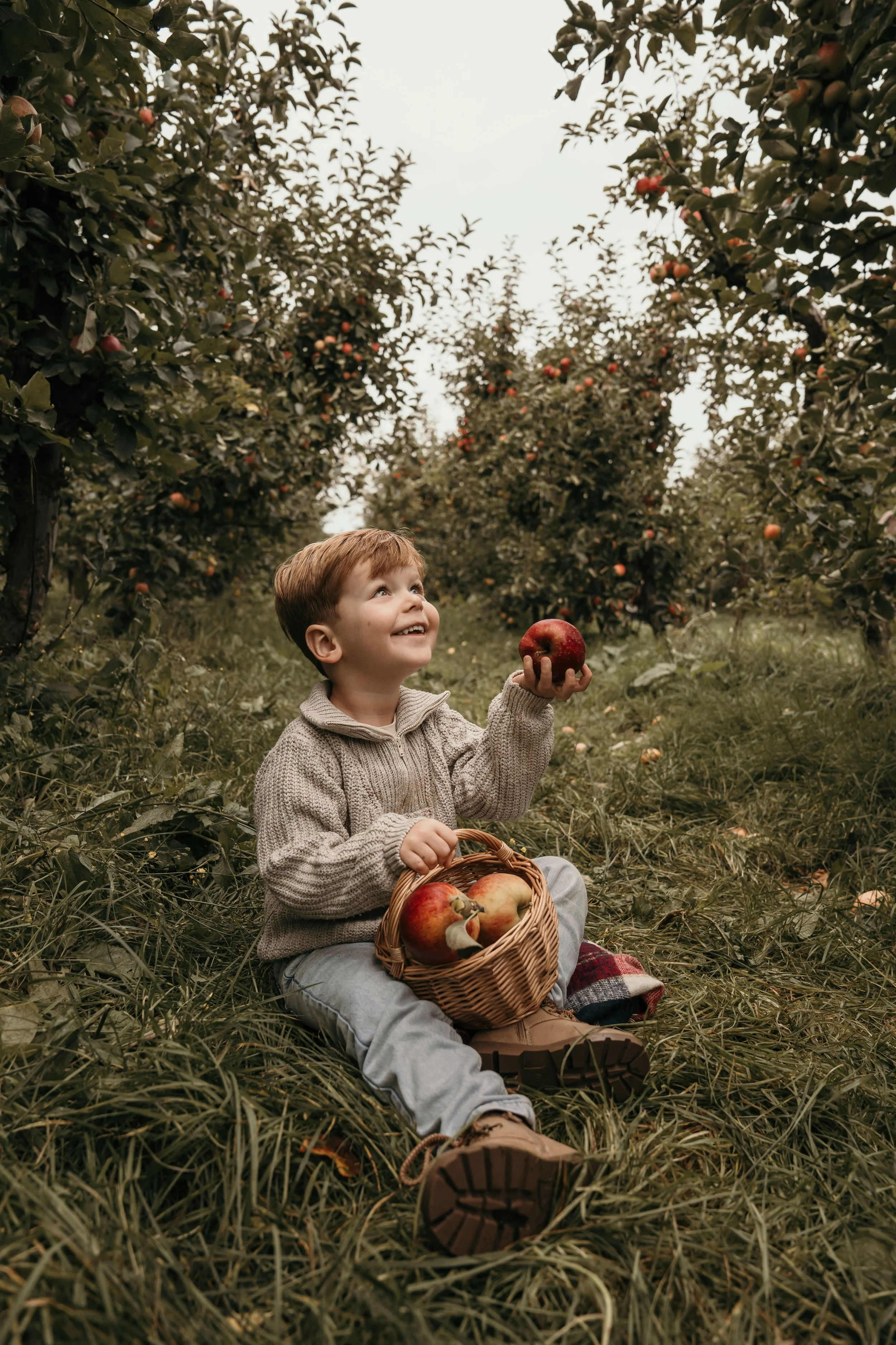 Een jonge jongentje zit op het gras tussen appelbomen op een appelboomgaard, hij houdt een appel in zijn hand en heeft een mand vol appels op schoot, lachend en genietend van de oogst tijdens een gezinsshoot van Rosa Lynn Signer.