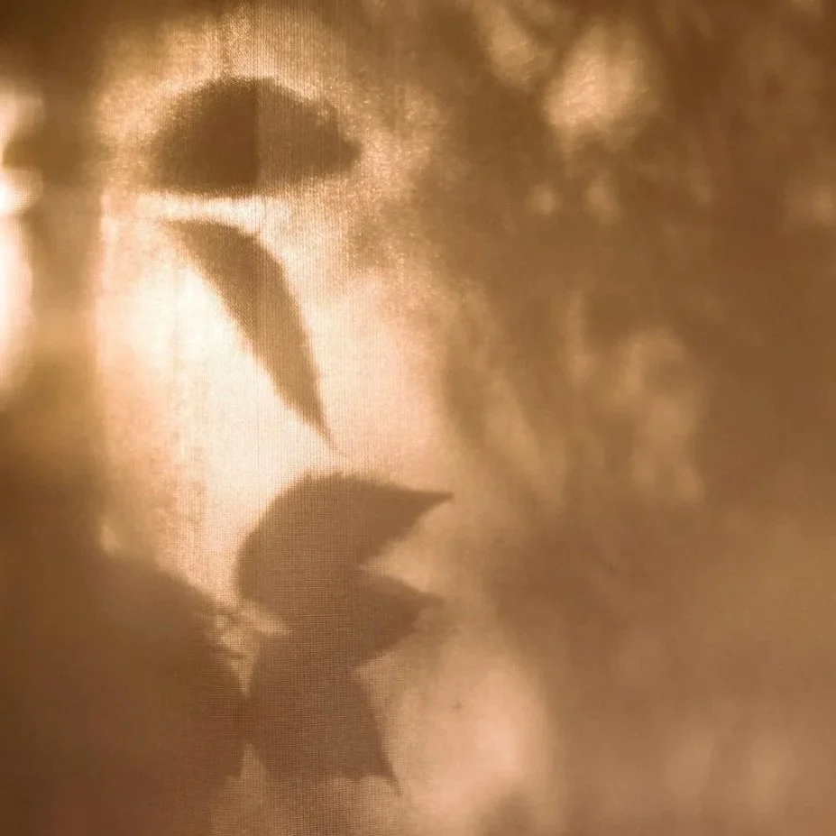 Là où le coeur s'adoucit