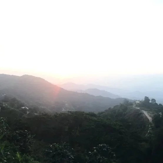 Gratitude, liens et nature