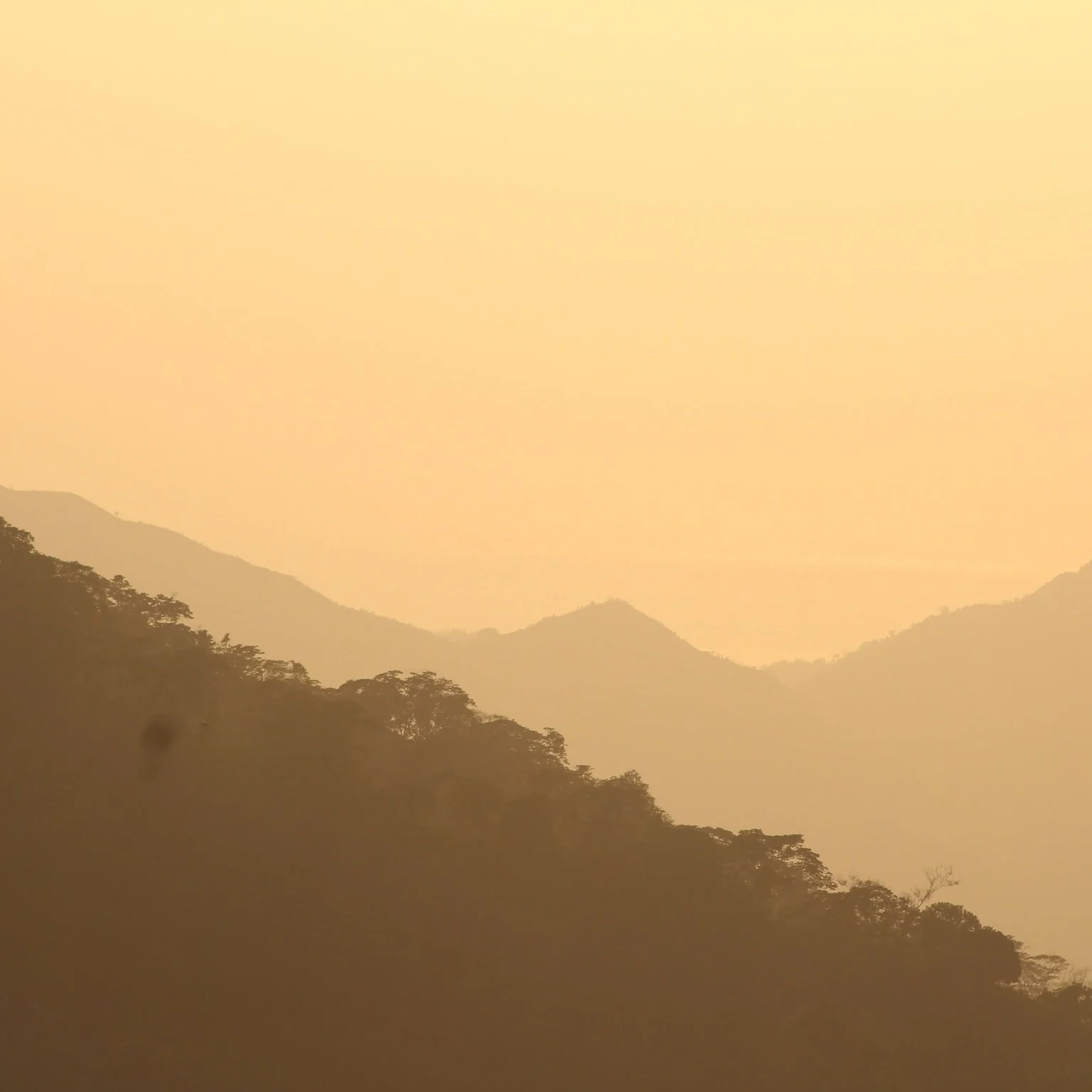 Une lumière douce pour commencer l’année.