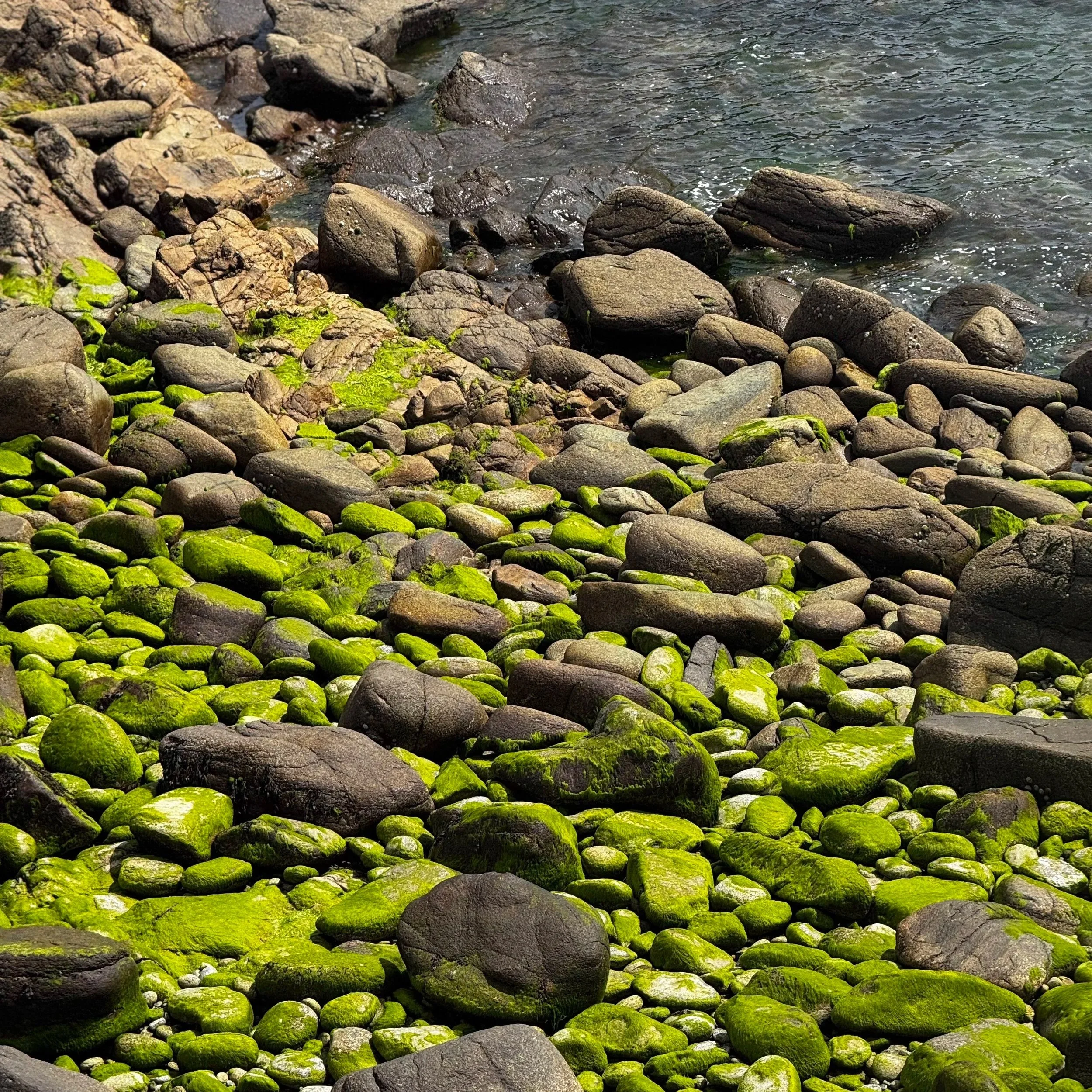 Respirer avec le stress ▷