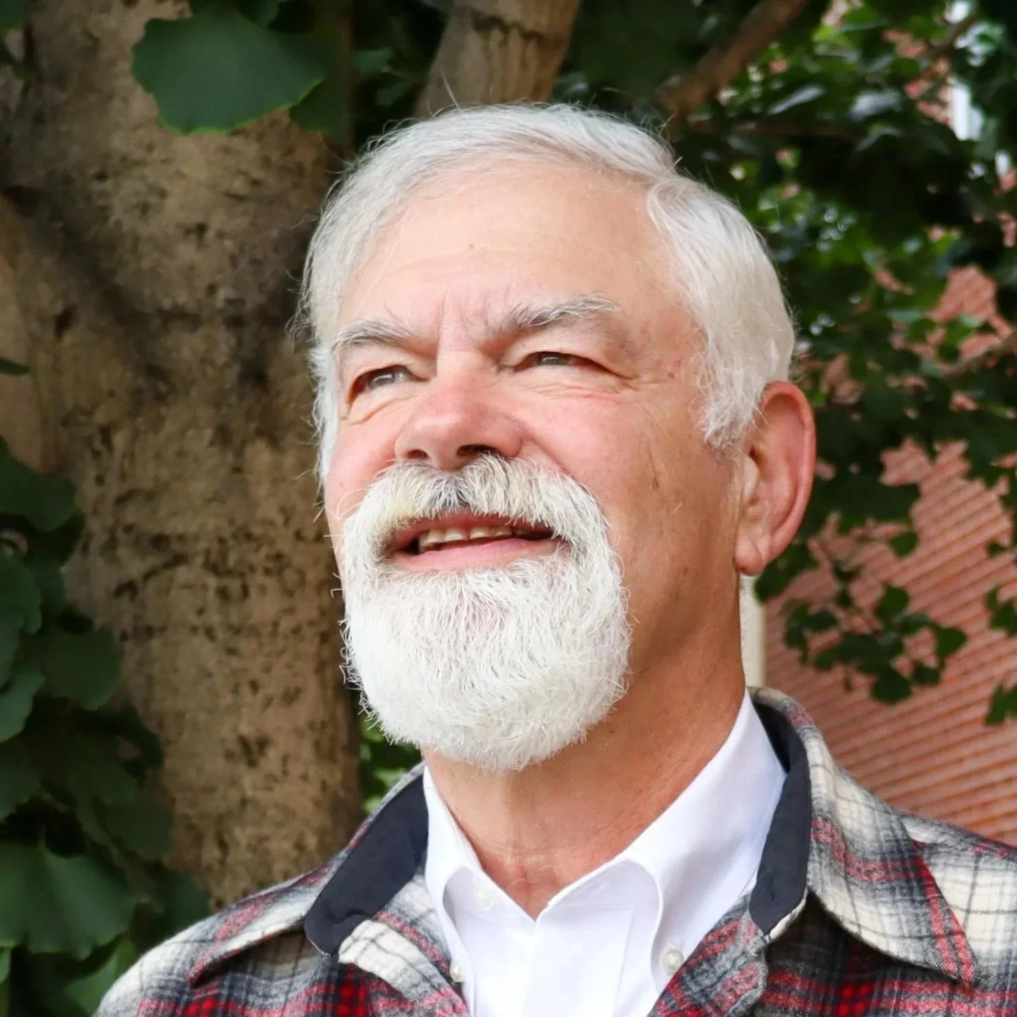 David Boyer Wiley headshot