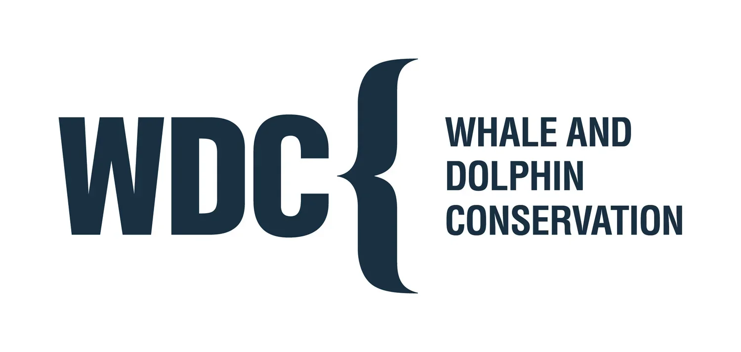 Logo of Whale and Dolphin Conservation with the initials WDC and a whale tail graphic.