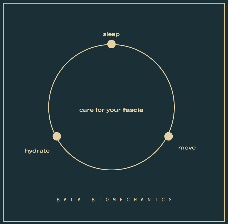 Infographic with tips for fascia care, including sleep, hydrate, and move, presented in a circular diagram by Bala Biomechanics.