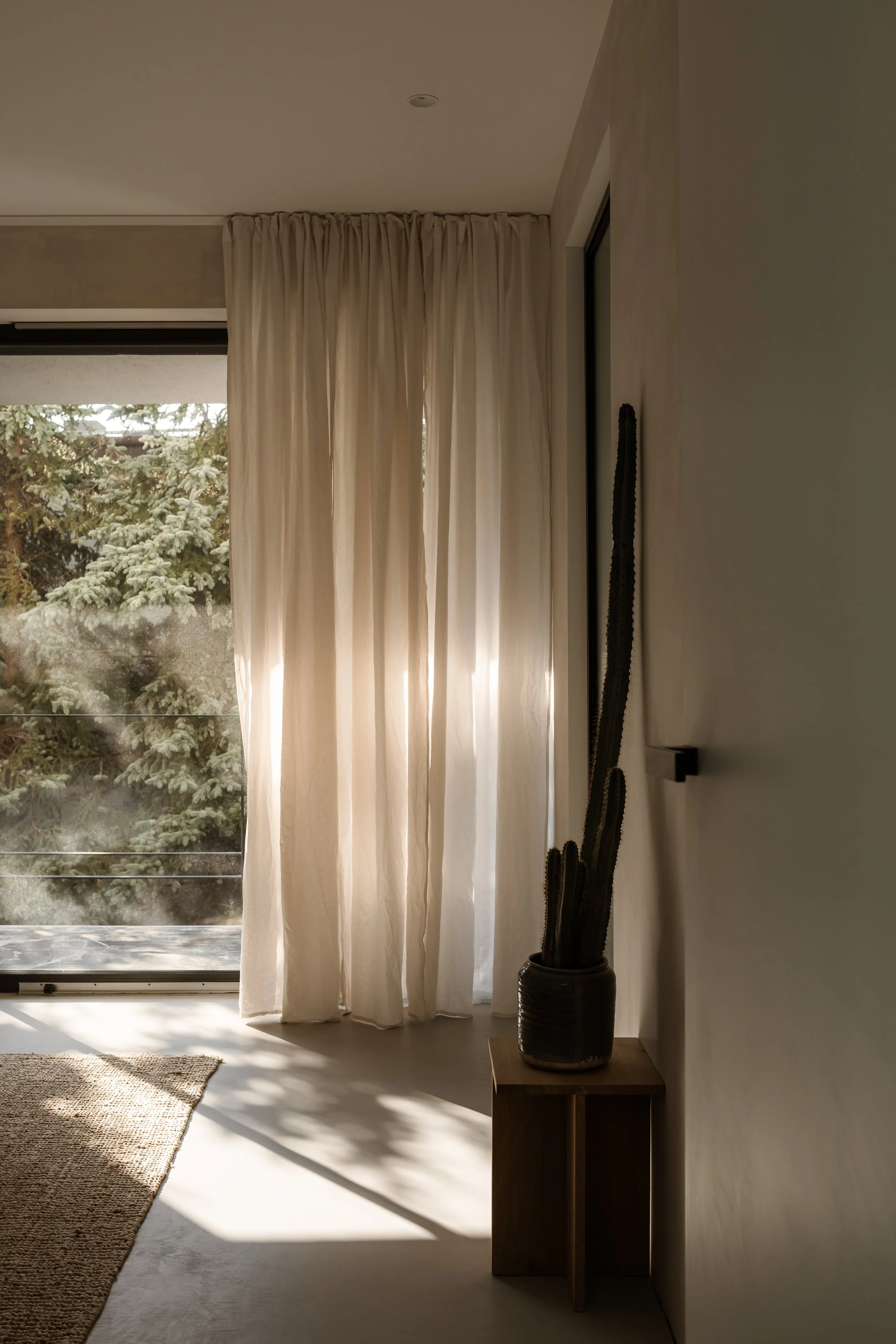 Sunlight filtering through white curtains into a minimalist room with a potted cactus on a small wooden table, next to a sliding glass door with a view of trees.
