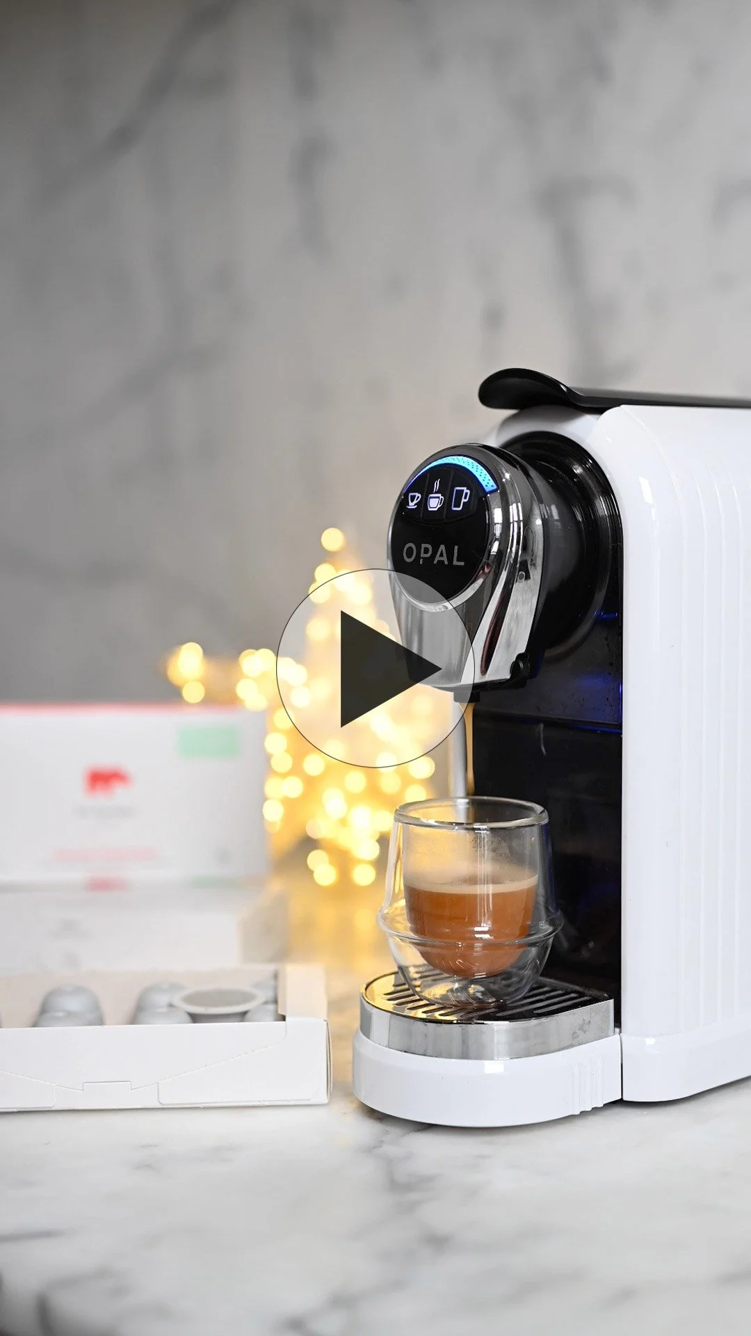 Kiss the Hippo - Christmas Pods