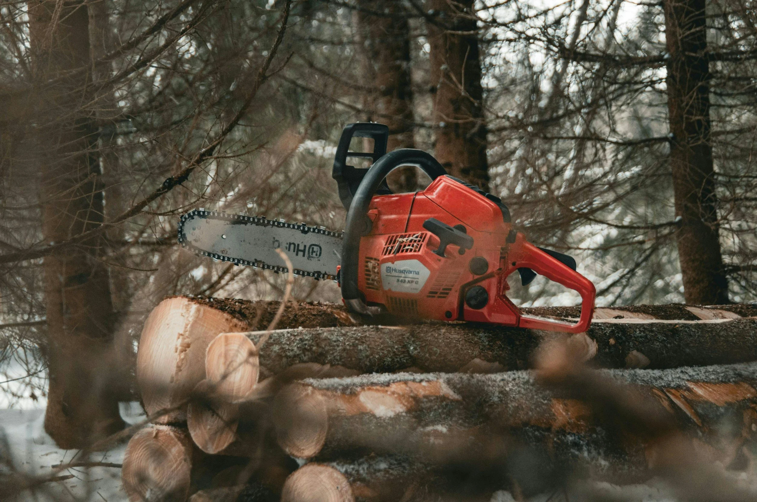 Une tronçonneuse orange posée sur une pile de bois dans une forêt enneigée.