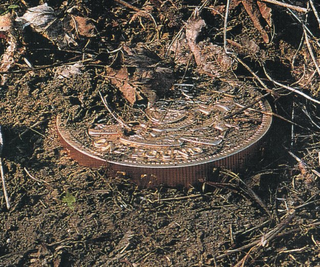 A POUND CLEARS A LANDMINE