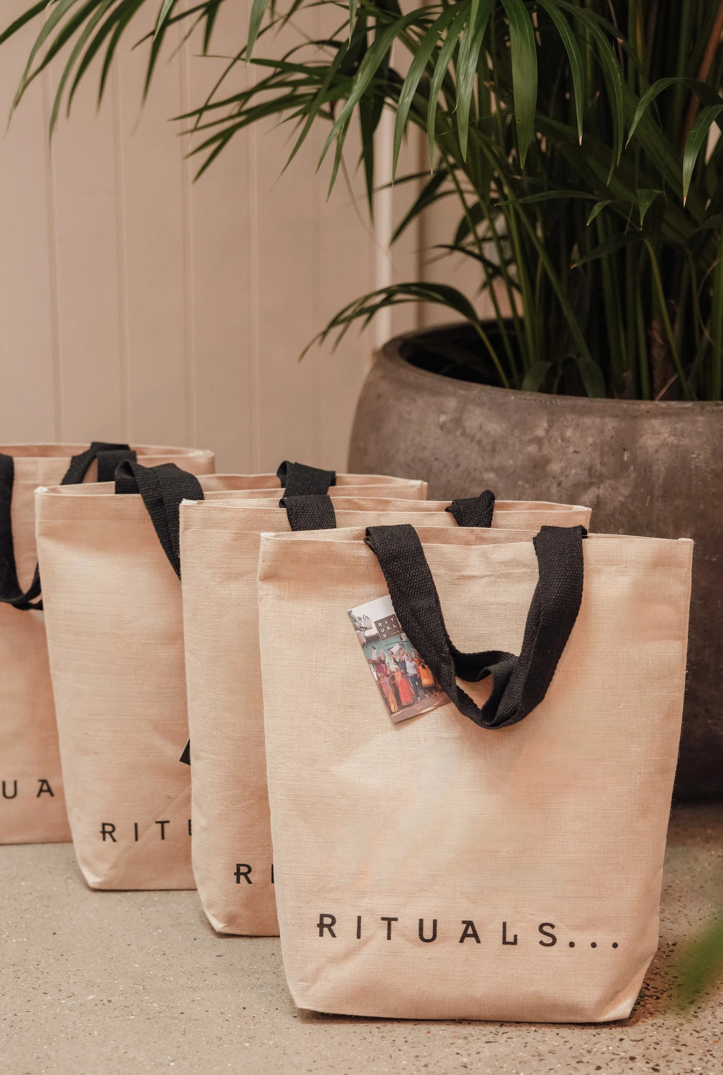 REGO Creative-18.jpg