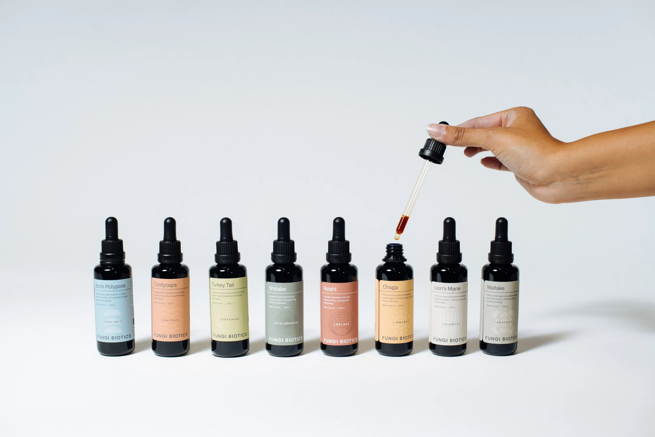 REGO Creative-66.jpg