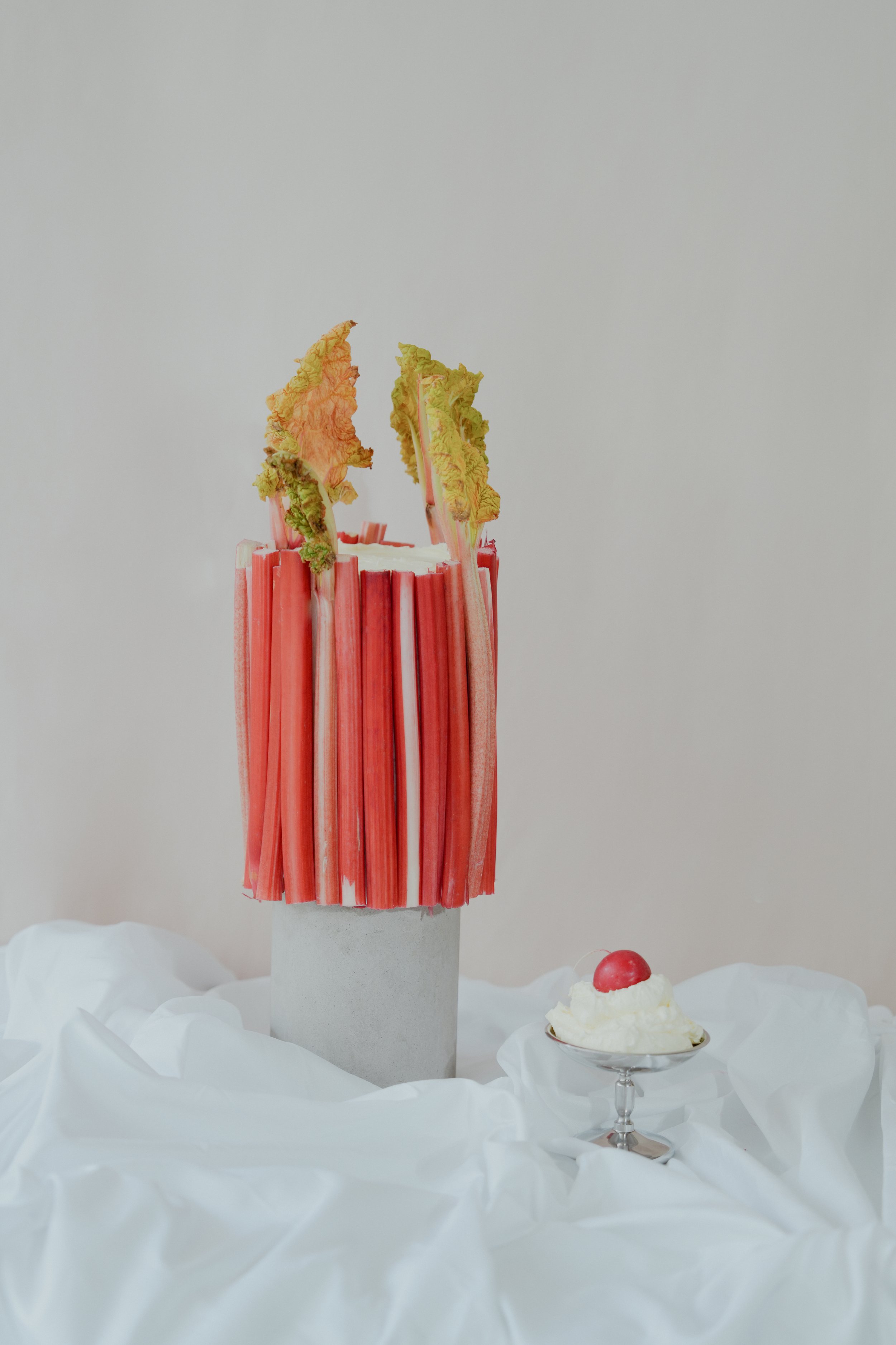 Nuun Cakes | REGO Creative Marketing Agency 