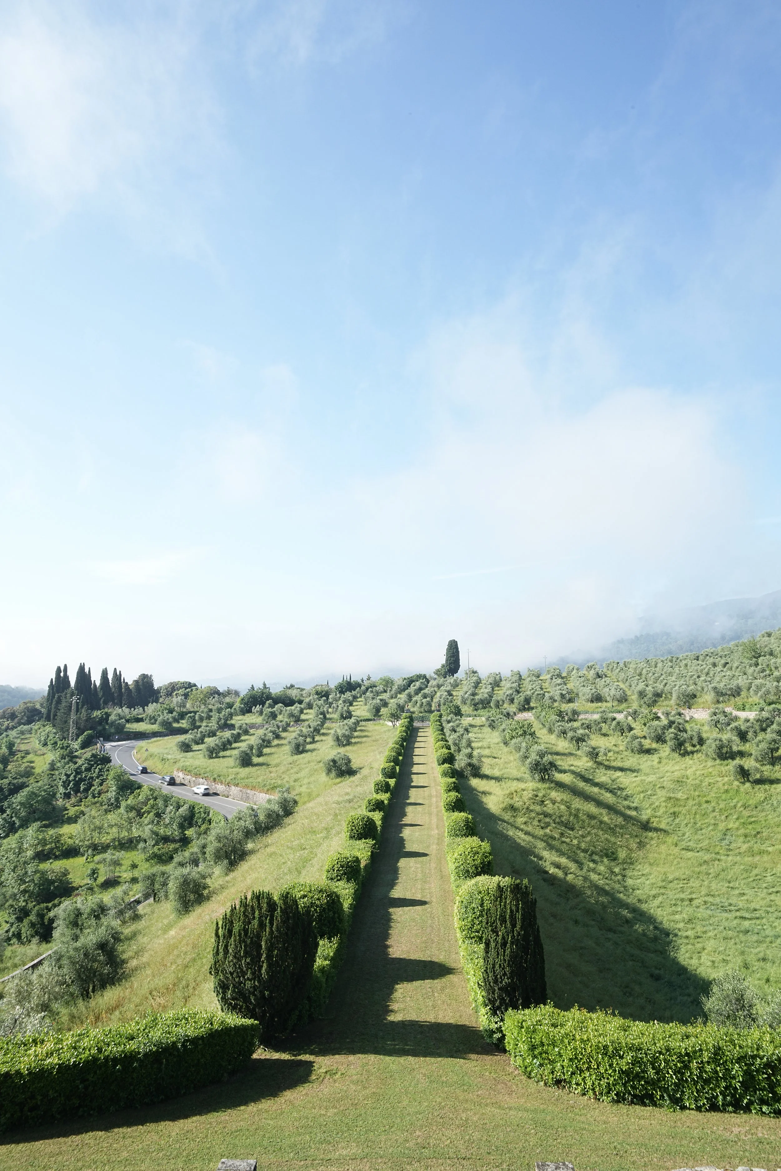 REGO Creative-80.jpg