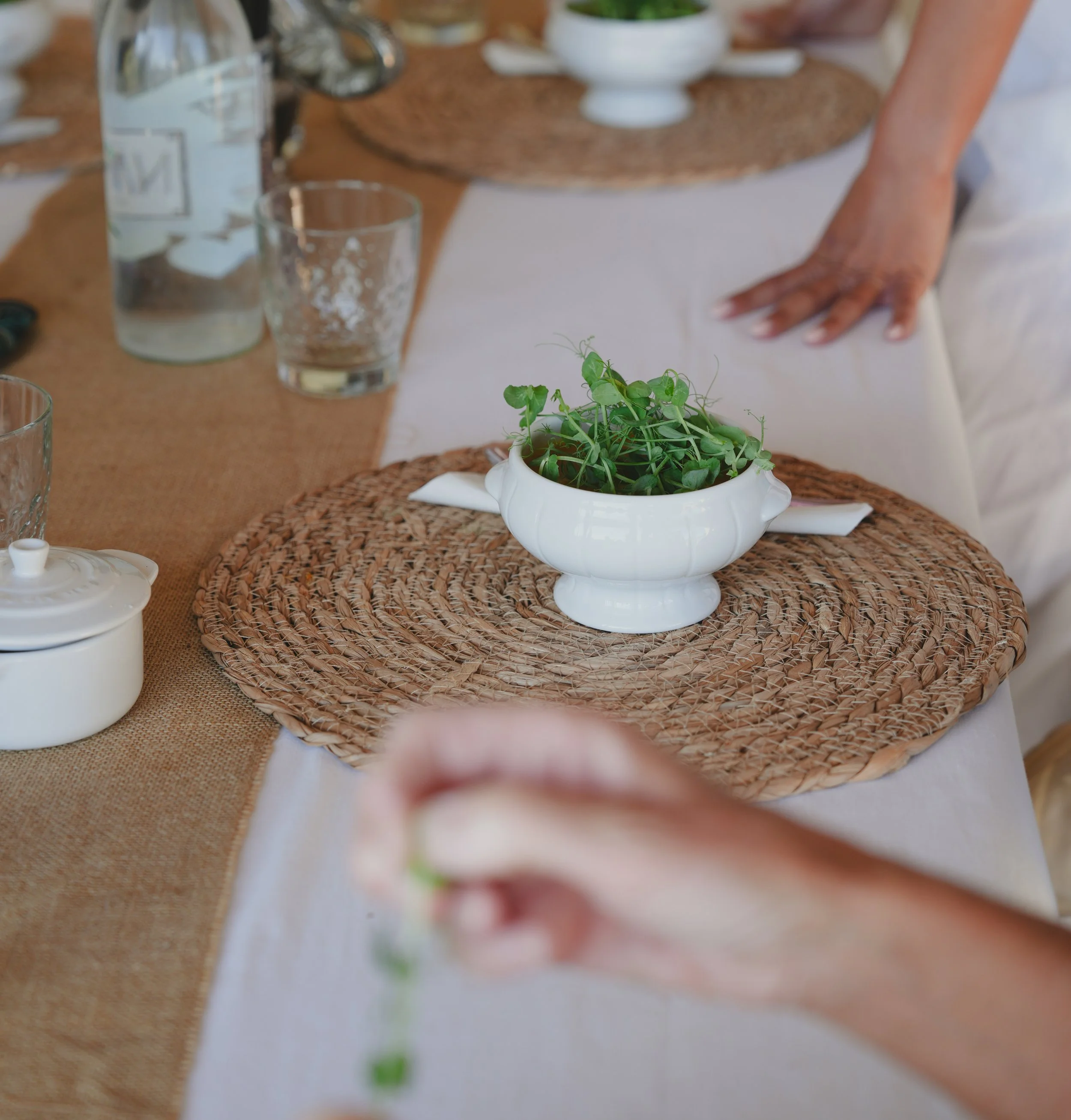 REGO Creative-20.jpg