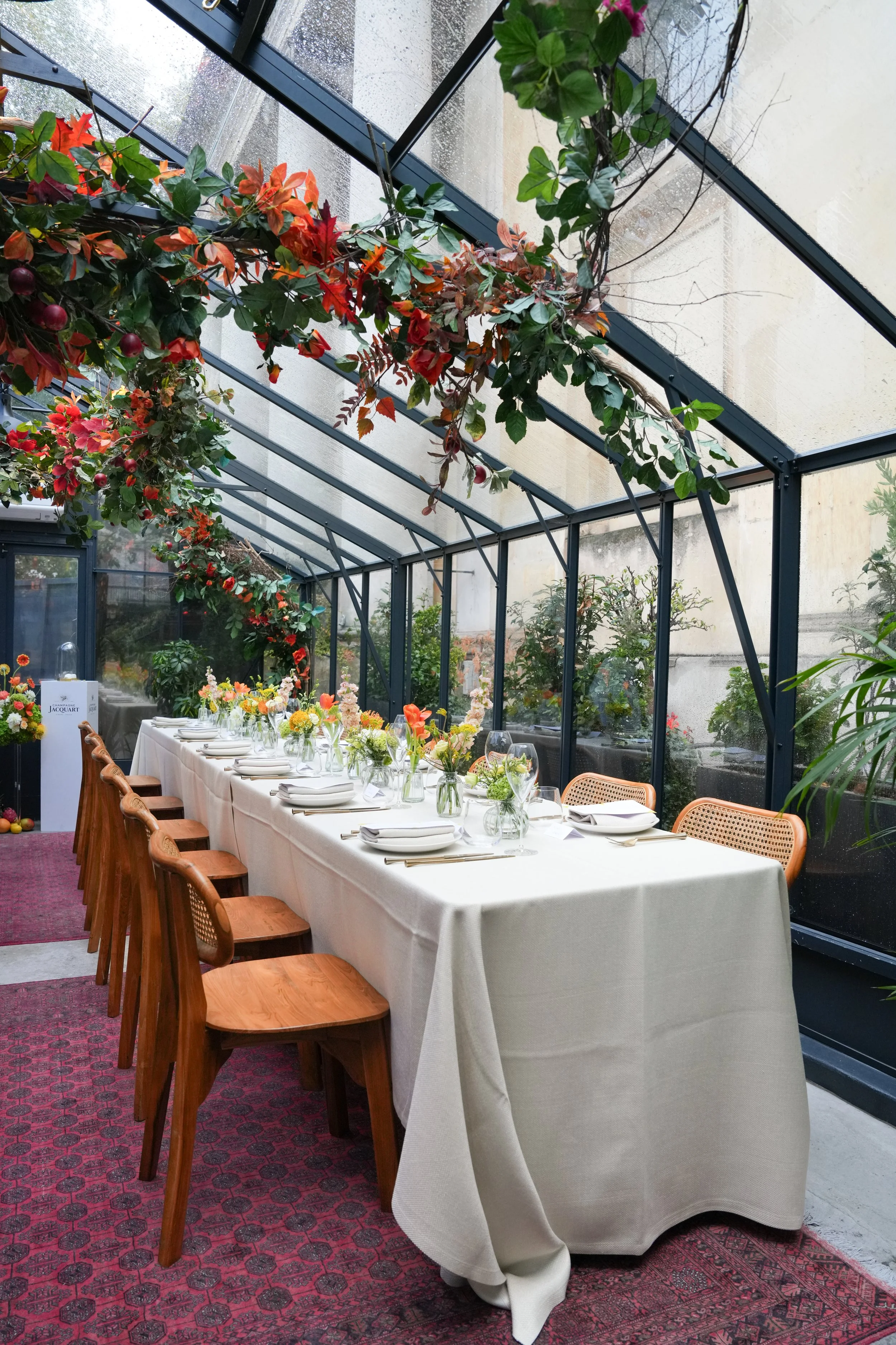 REGO Creative-2-2.jpg