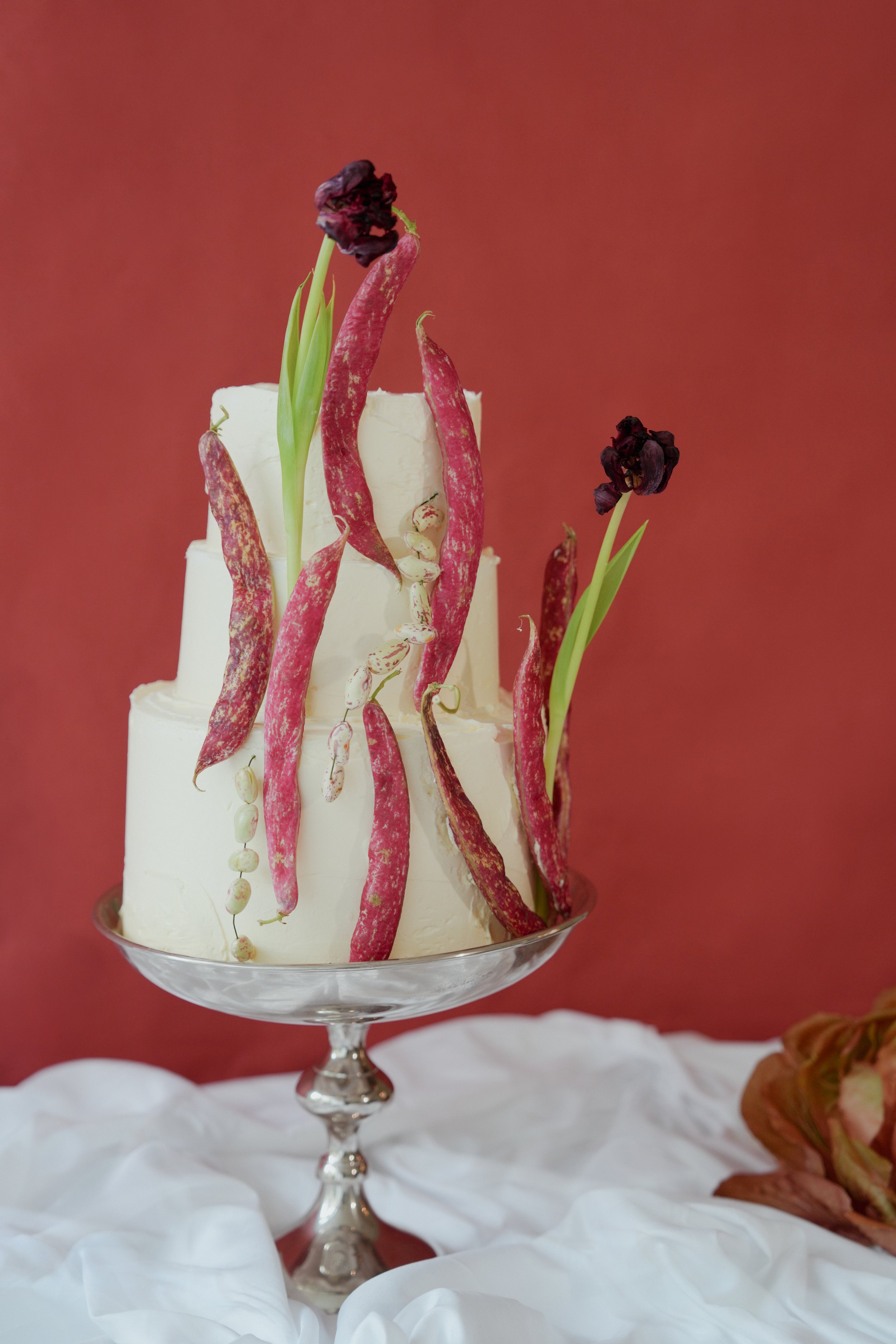 Nuun Cakes | REGO Creative Marketing Agency 