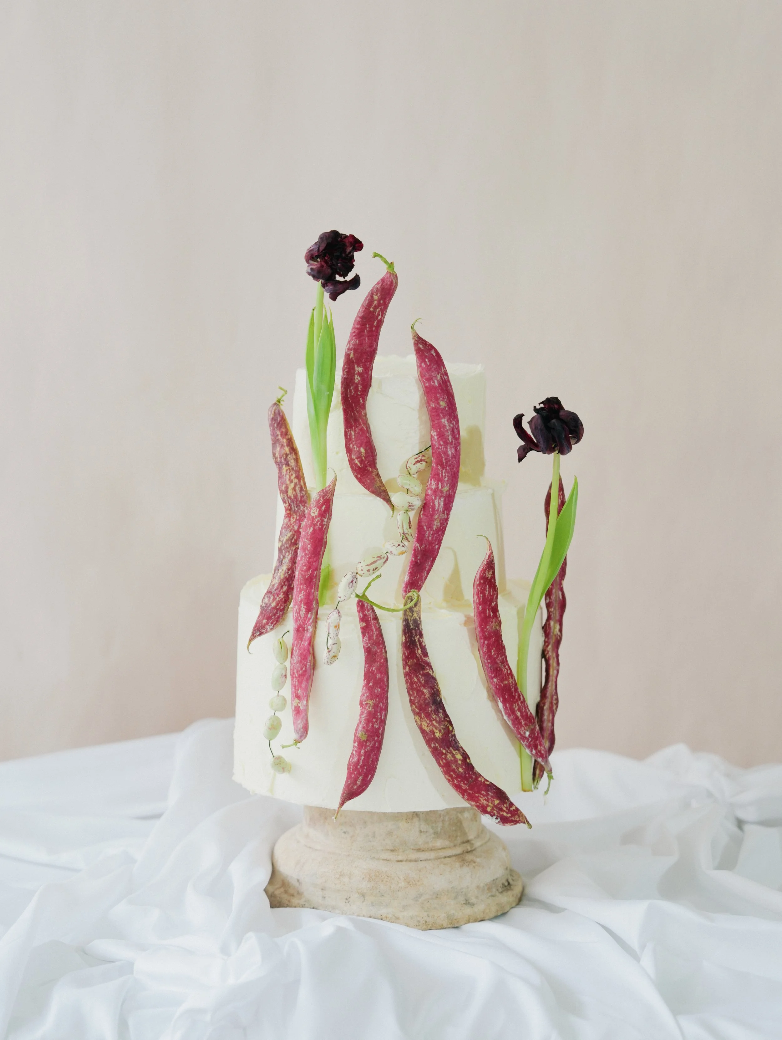 REGO Creative-11.jpg