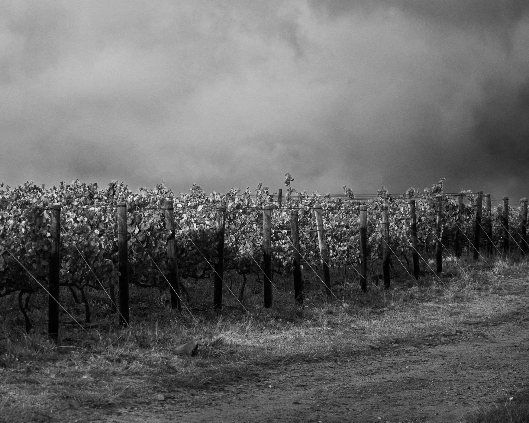 Hemel-en-Aarde Valley vineyard, Restless River wines, cabernet sauvignon, chardonnay, pinot noir.
