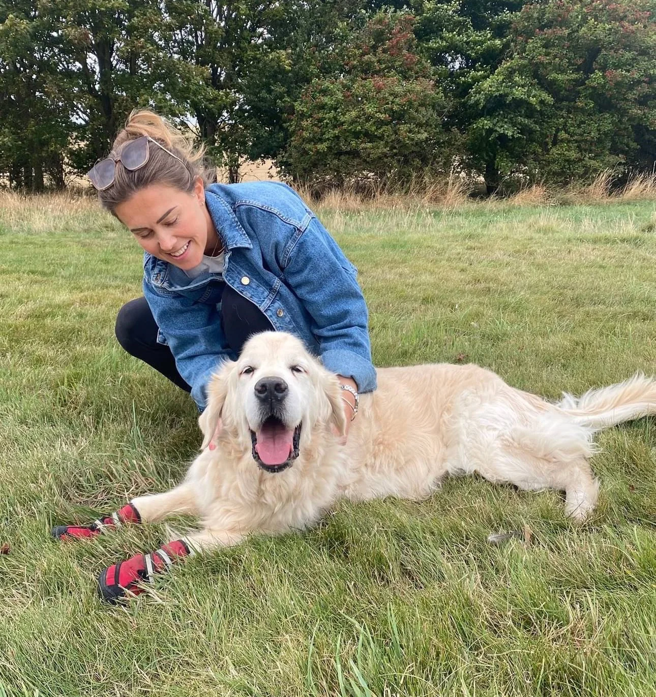 A woman in a denim jacket and sunglasses on her head crouches on a grassy field, smiling, next to a happy golden retriever laying on the grass with its mouth open and tongue out, wearing red dog boots.