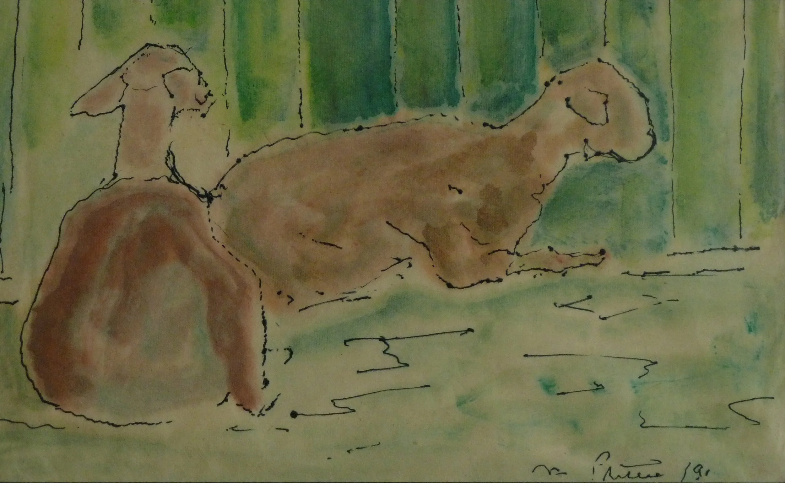 Goats At The Royal Winter Fair