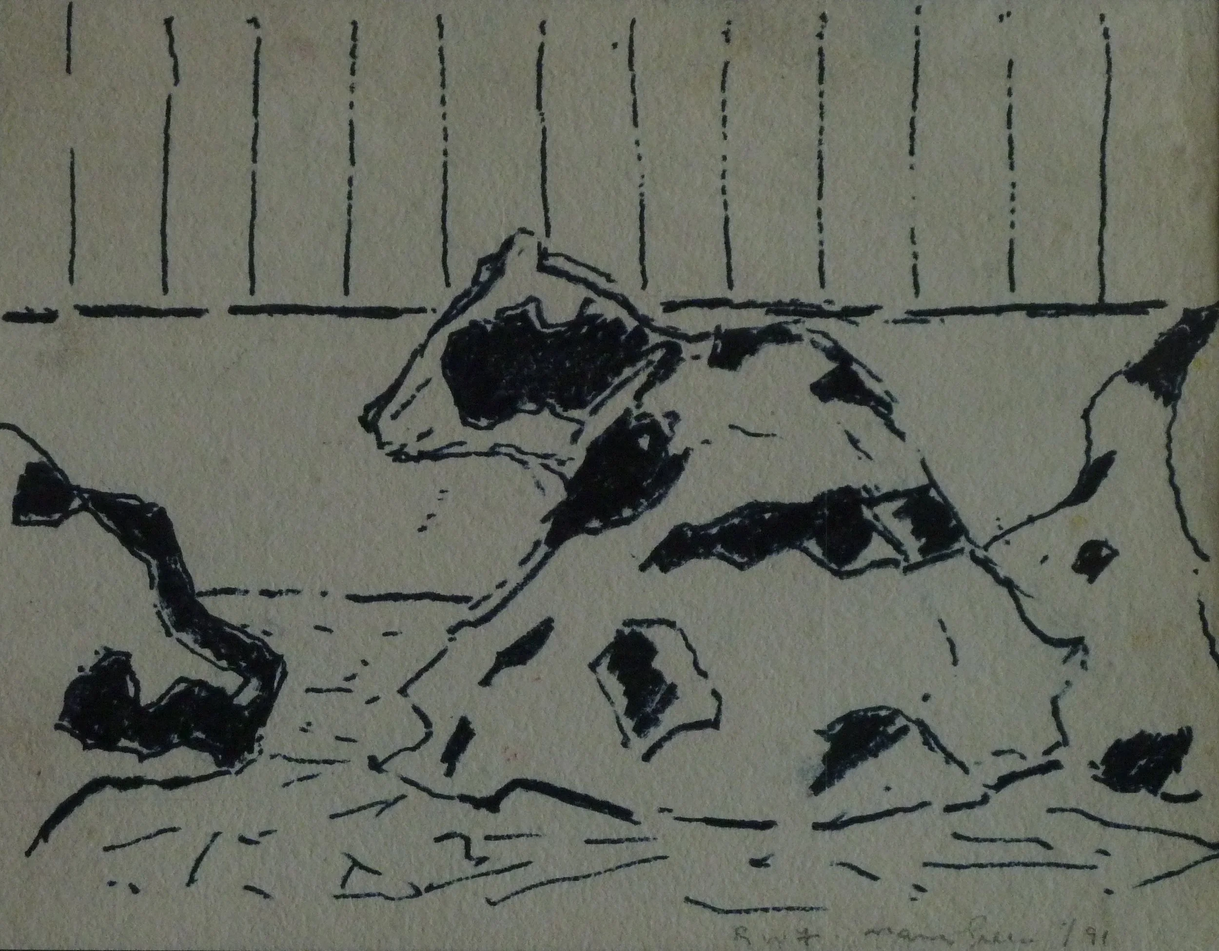 Cows At The Royal Winter Fair