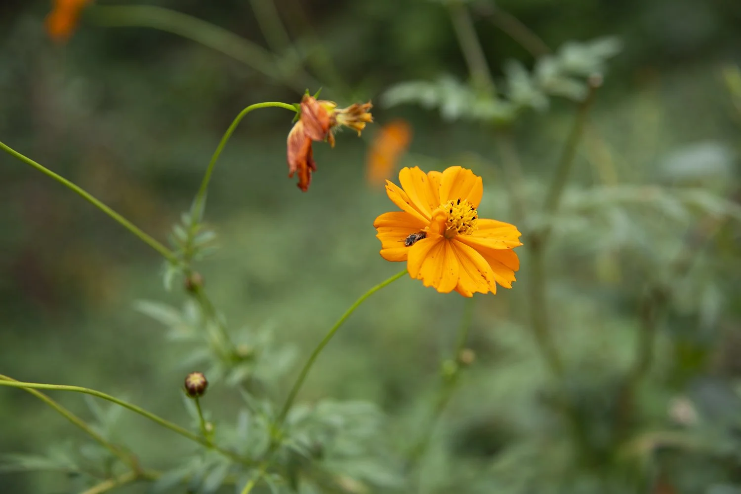 Beginner Photography Workshop in Berlin: Light & Shadow