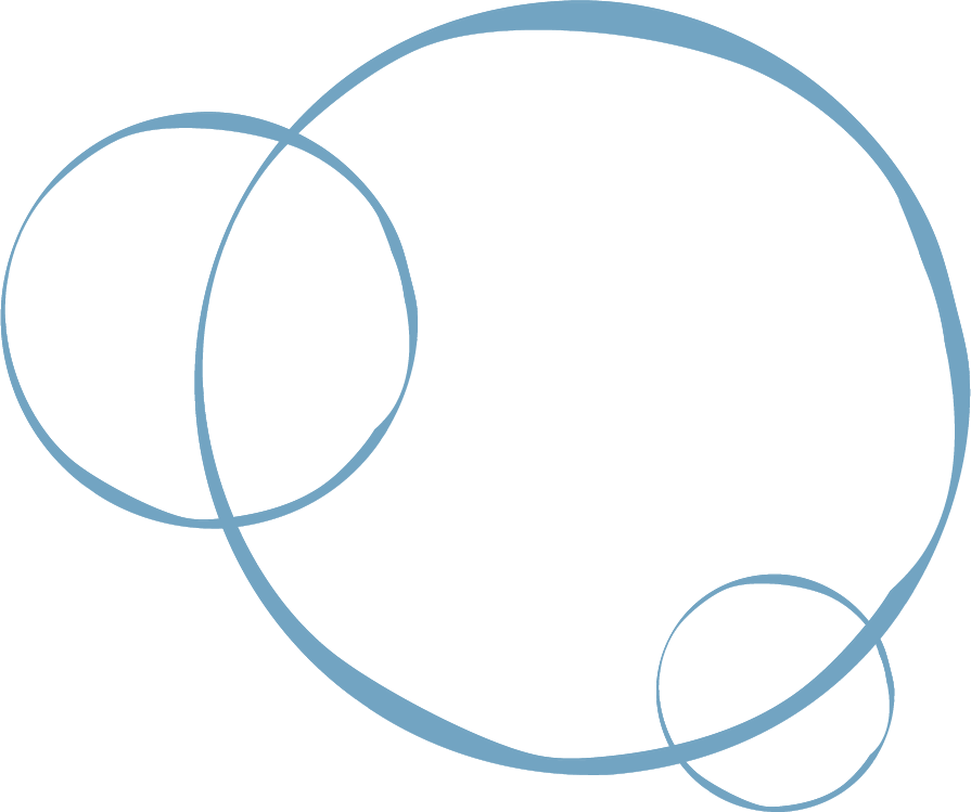 A Venn diagram with four overlapping circles of varying sizes.