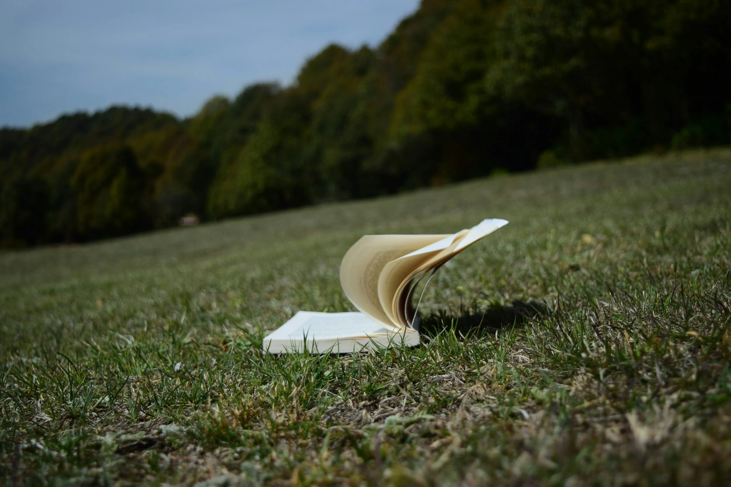 A book lying open on the grass in an outdoor park or field with trees in the background.
