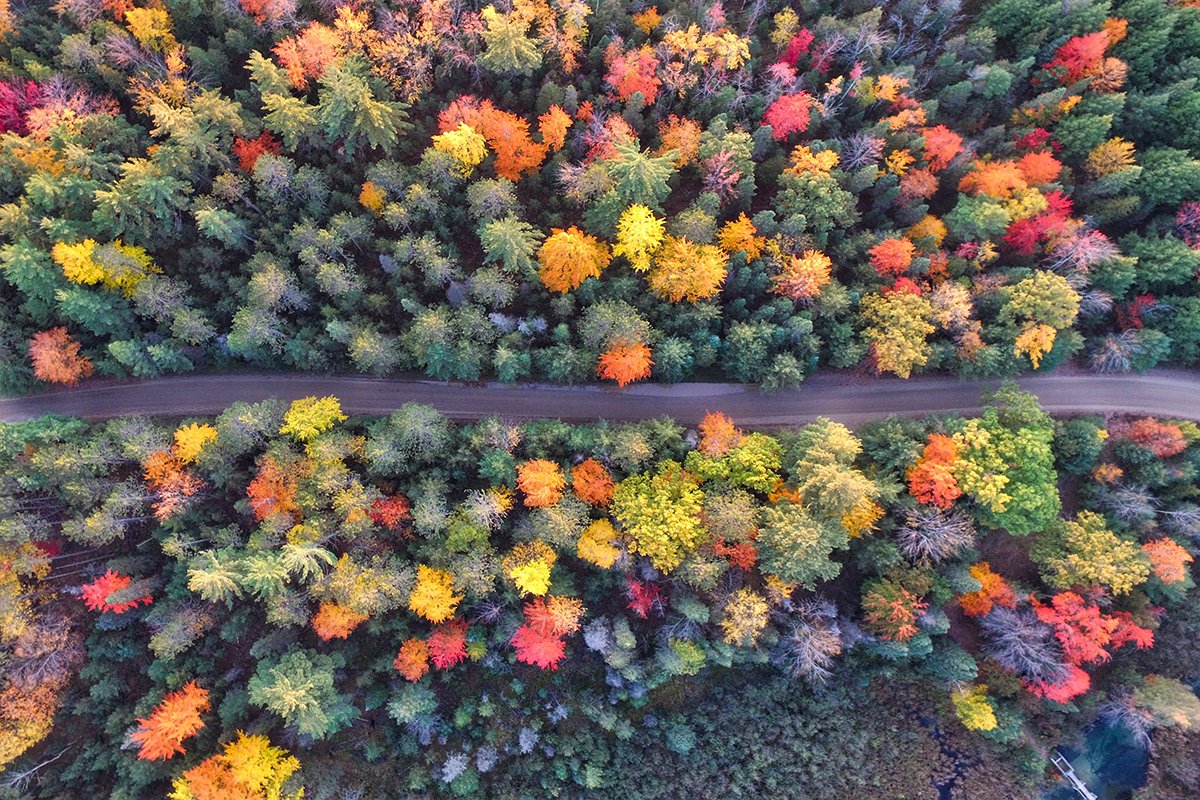 A Wealth of Opportunity