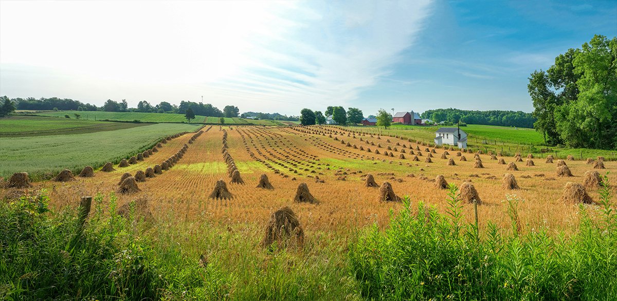 Interest Rate Harvest