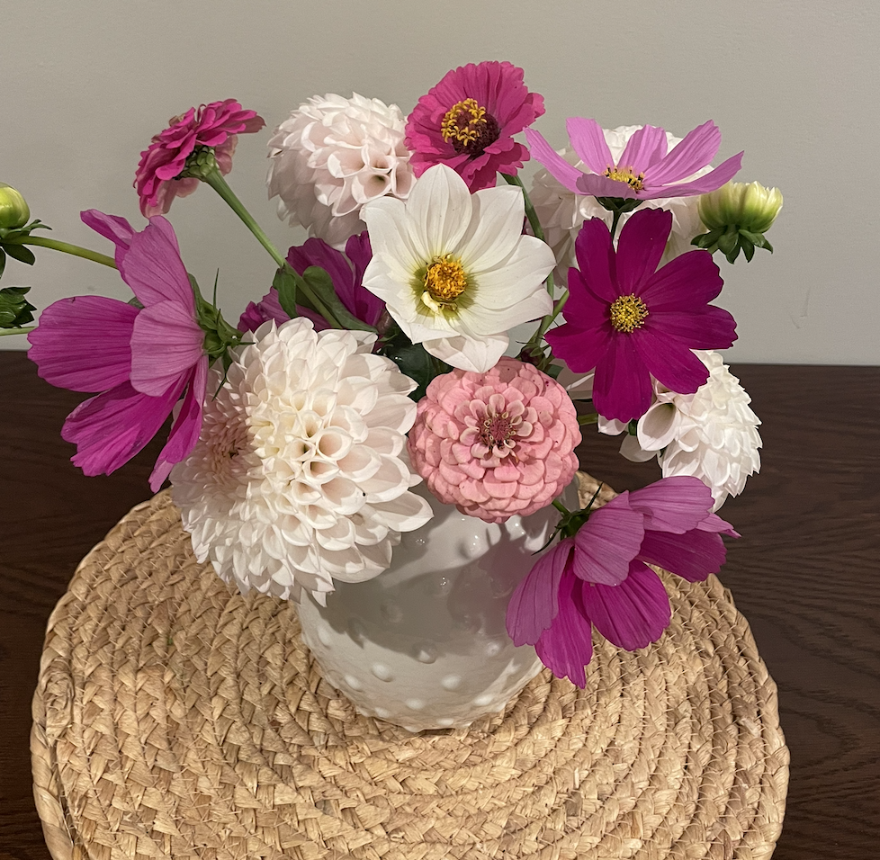 Screenshot 2026-01-02 at 12.46.53 PM.png