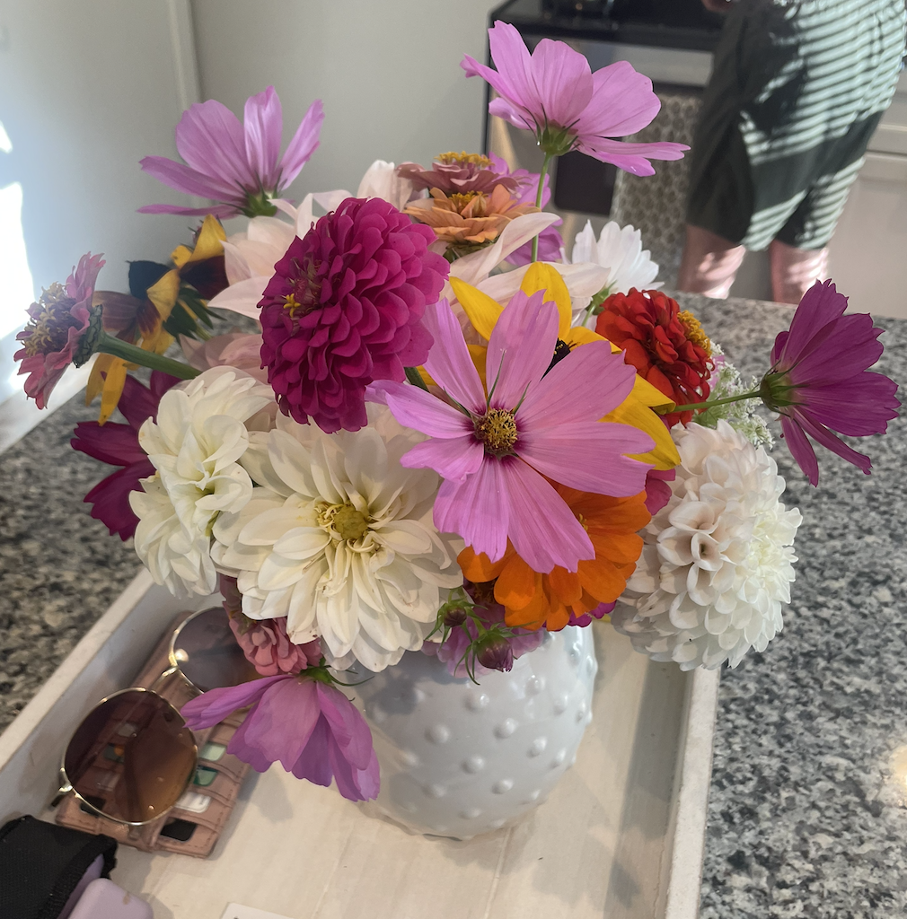 Screenshot 2026-01-02 at 12.47.09 PM.png