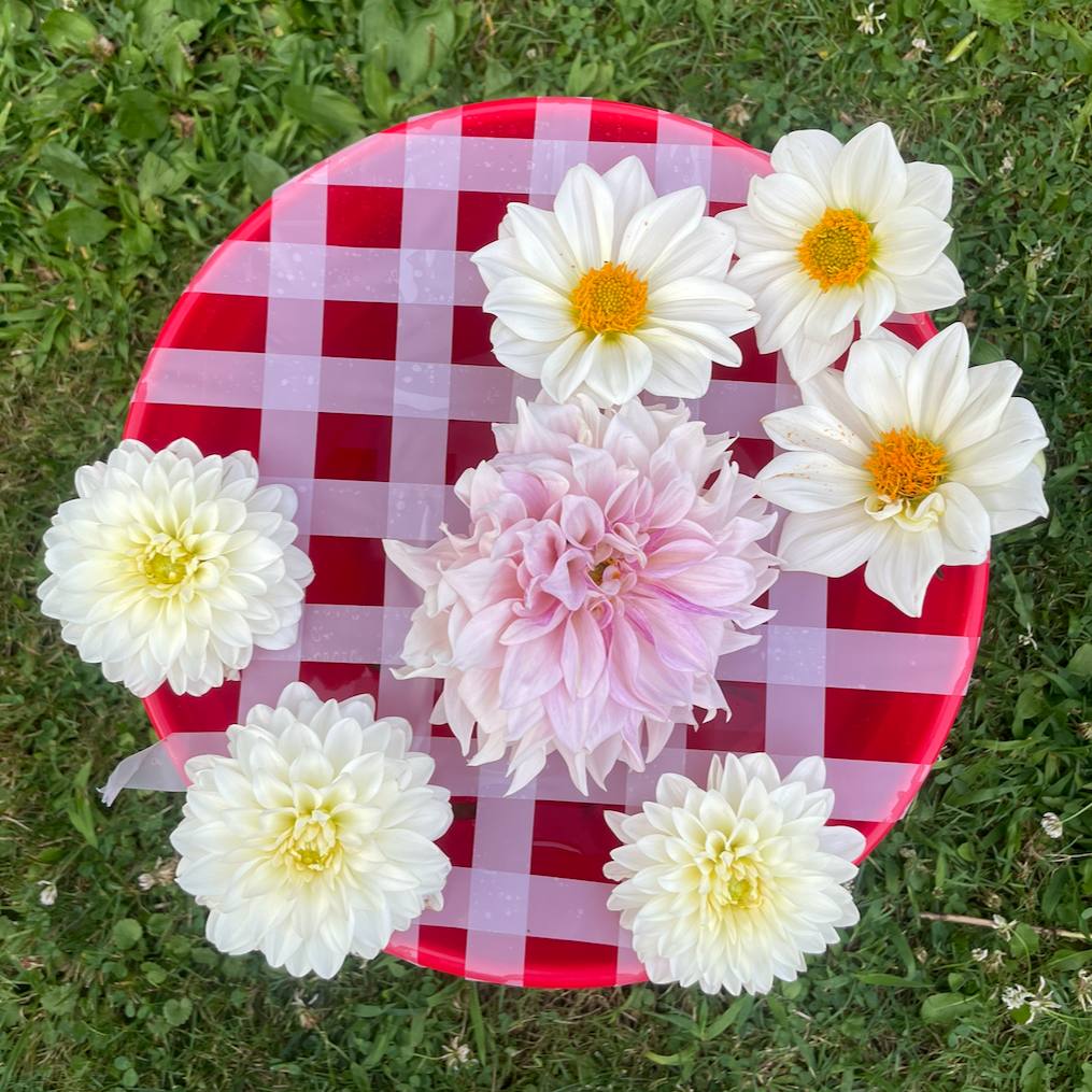 A round red and white checkered tray with six white flowers and one pink flower on a grassy surface.