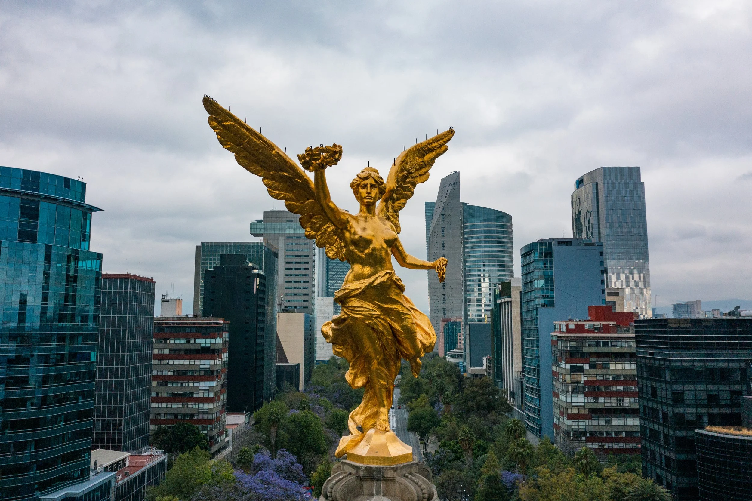 AdobeStock_479033782.jpeg