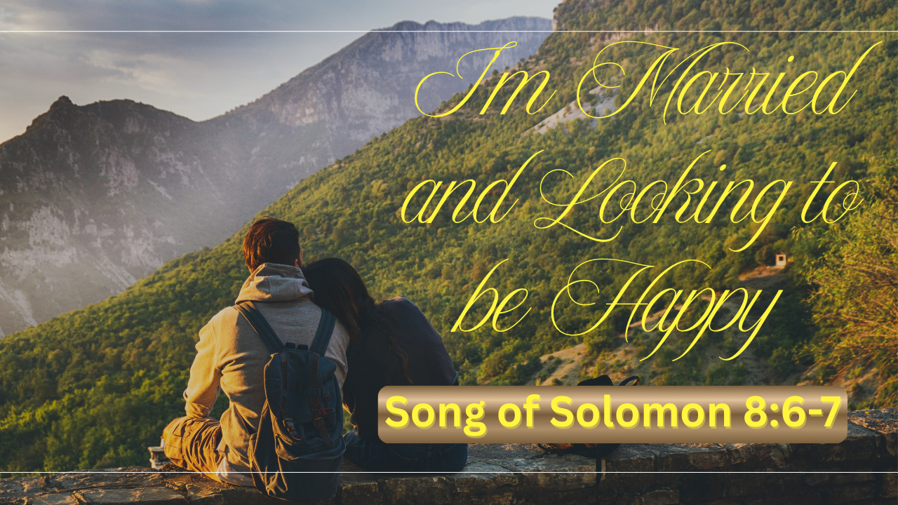 I’m Married and Looking to be Happy 