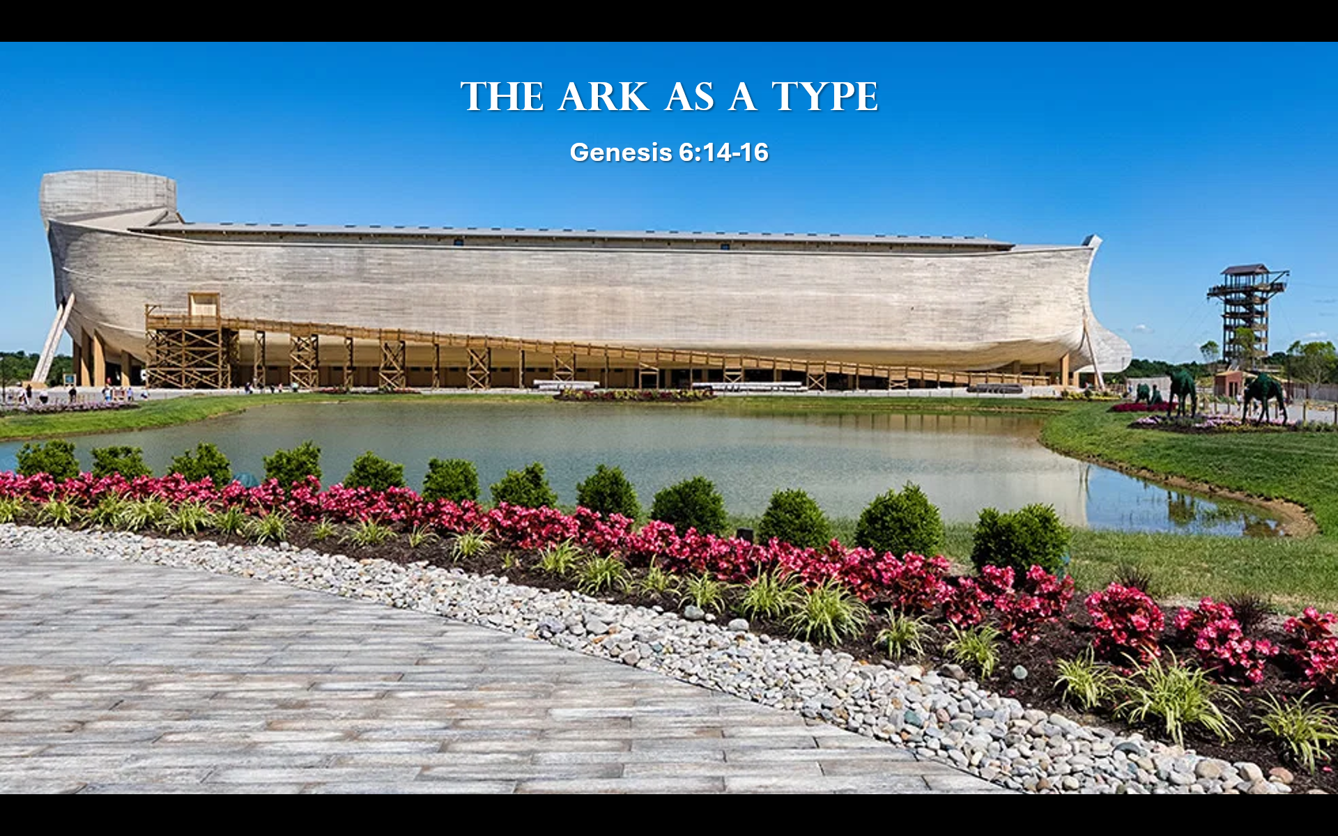 The Ark as a Type