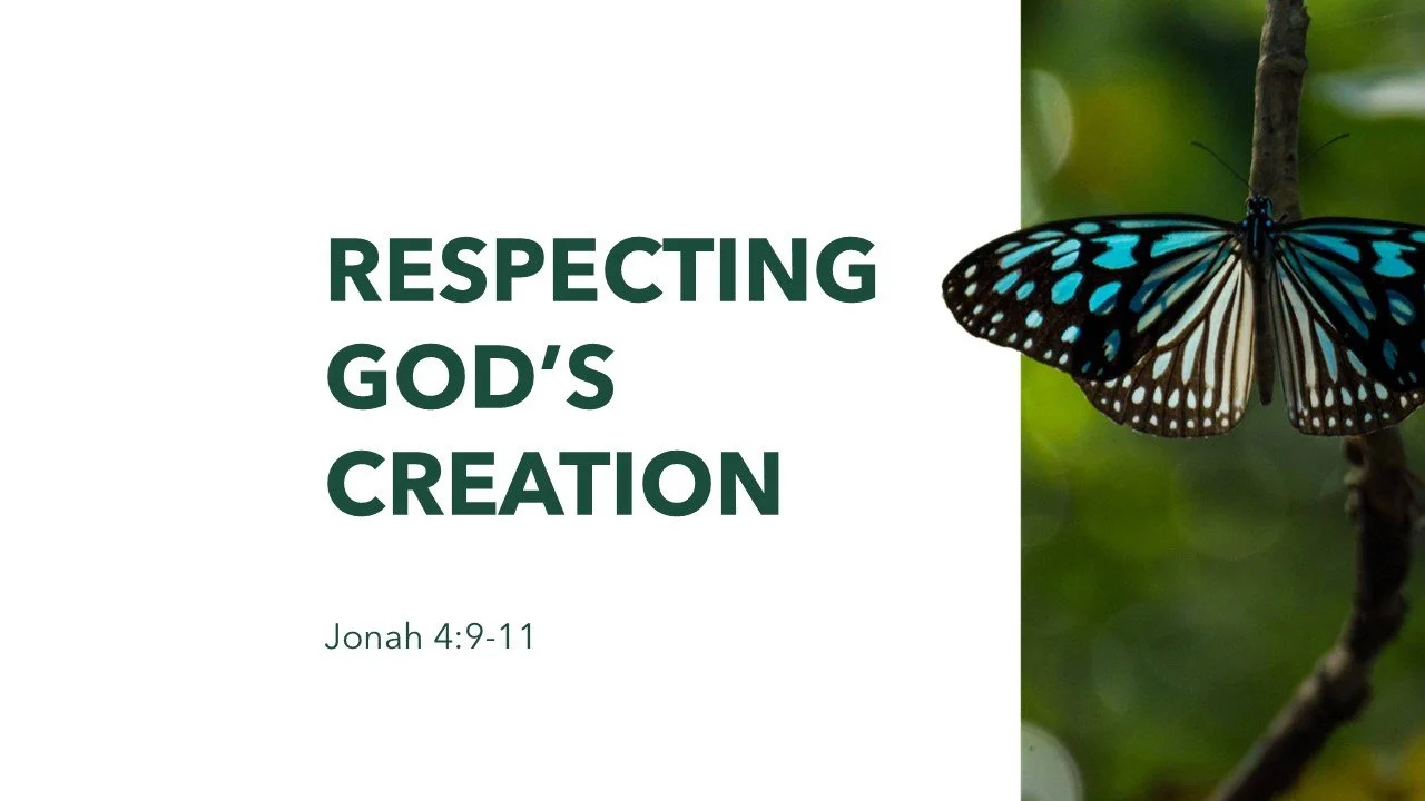 Respecting God’s Creation