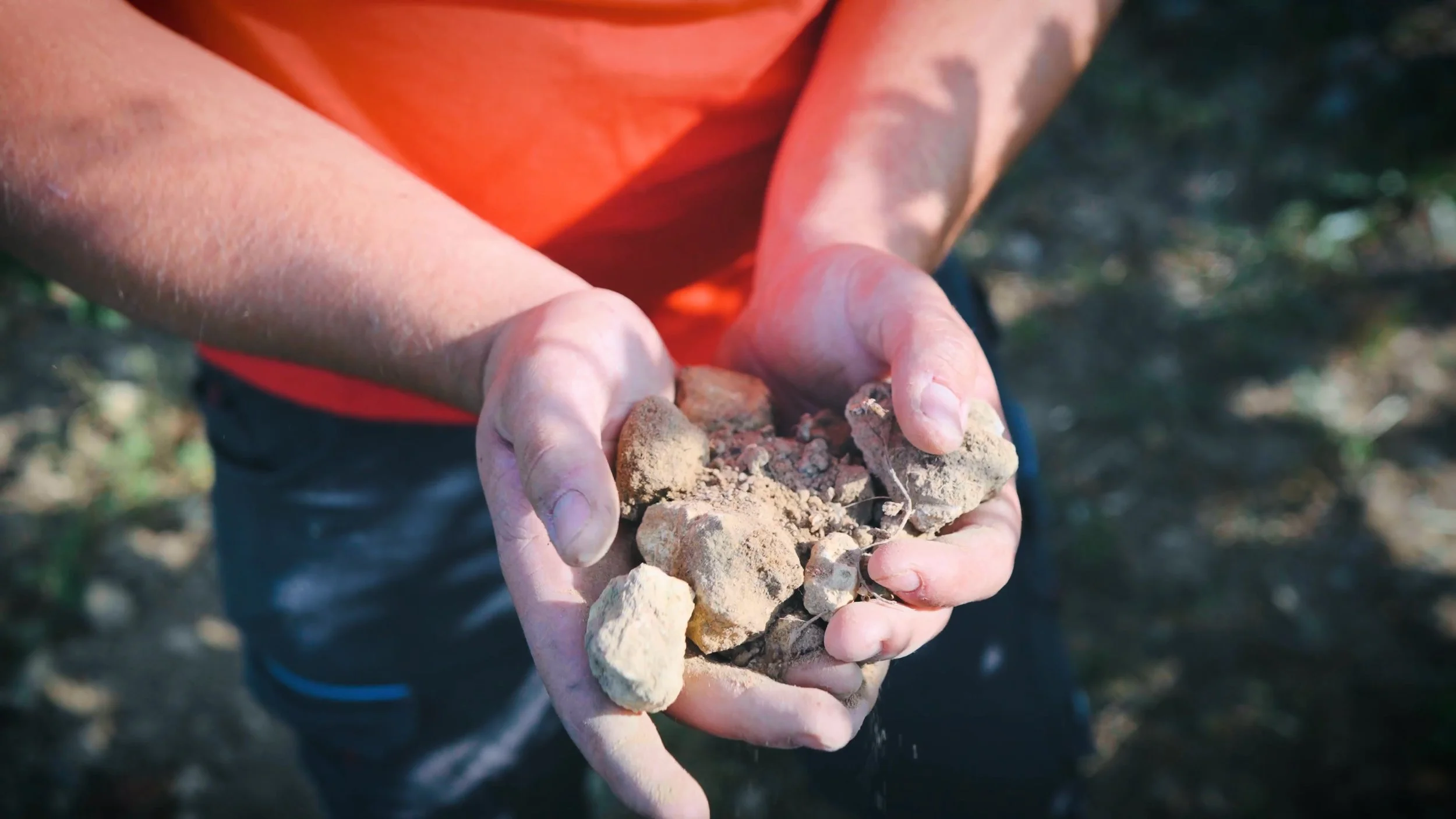 Close view on a person's hands holding some vineyard rocks.