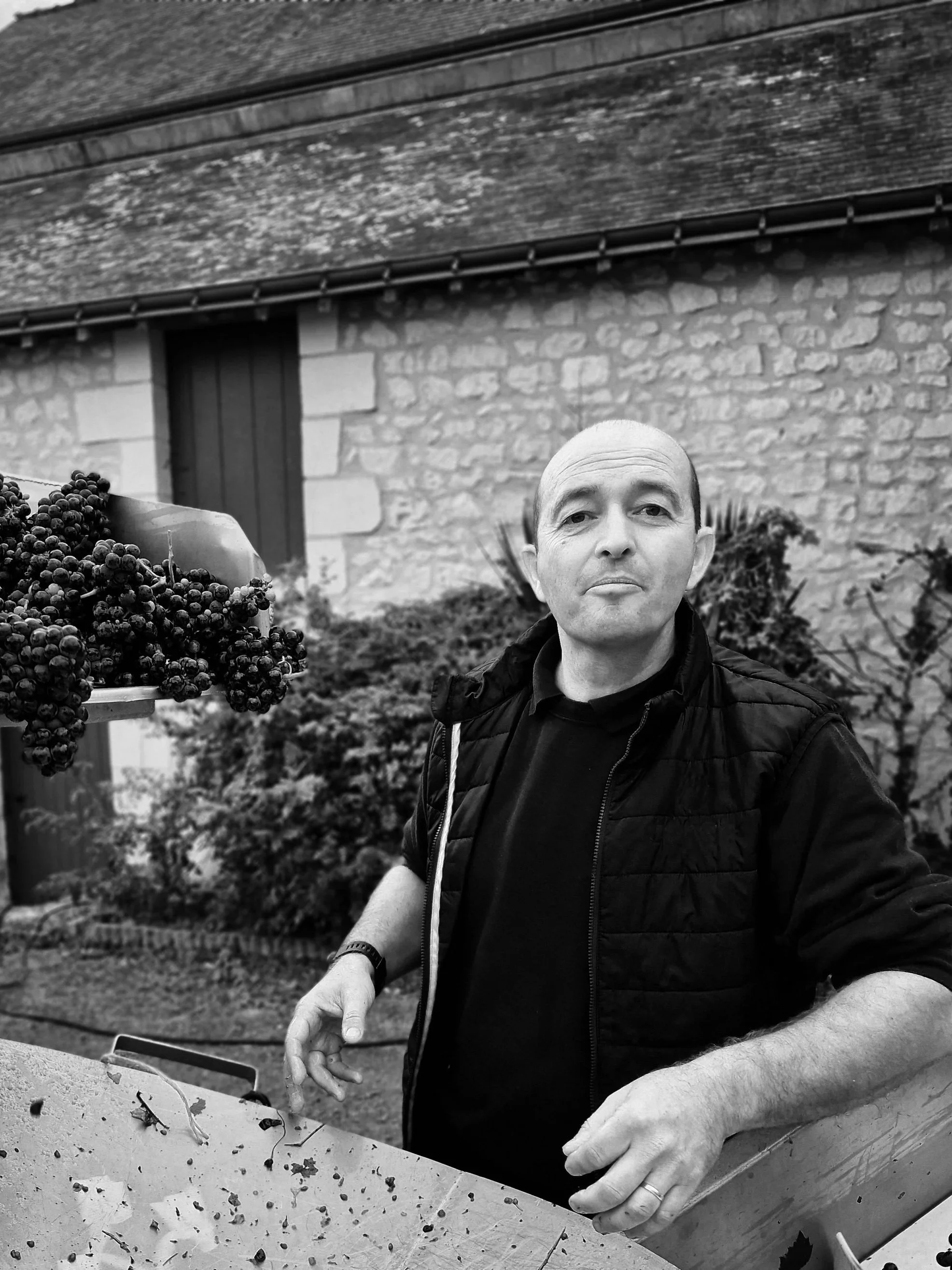 A man with a bald head and wearing a black jacket and shirt standing outdoors near a table with grape juice and a bunch of grapes on a shelf, with a stone wall and bushes in the background.