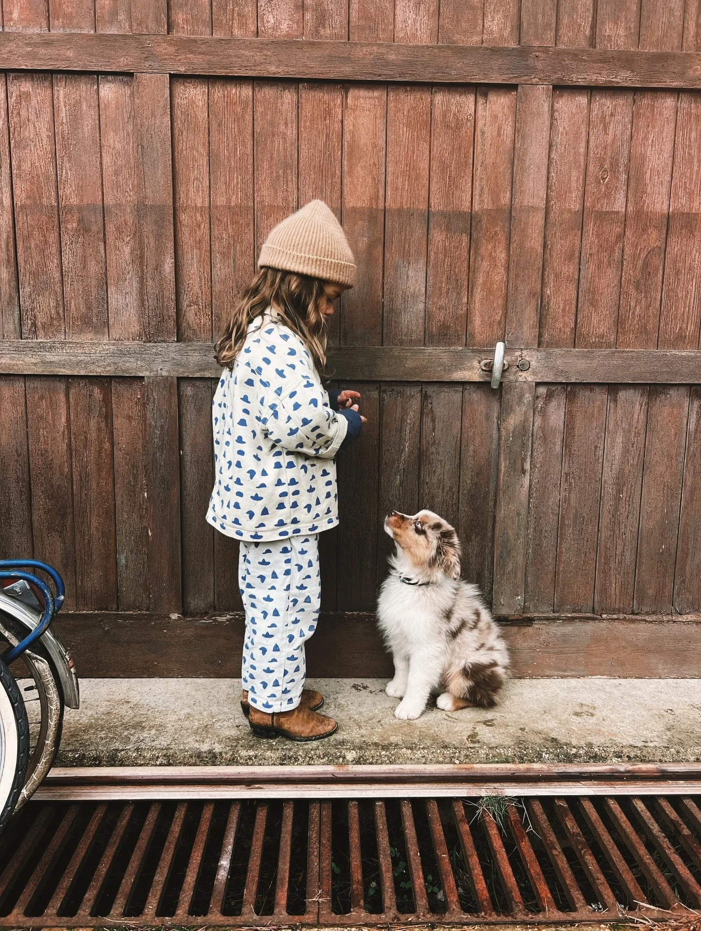 Qui &eacute;duque qui ? 😂🐾
INDIA et APACHE