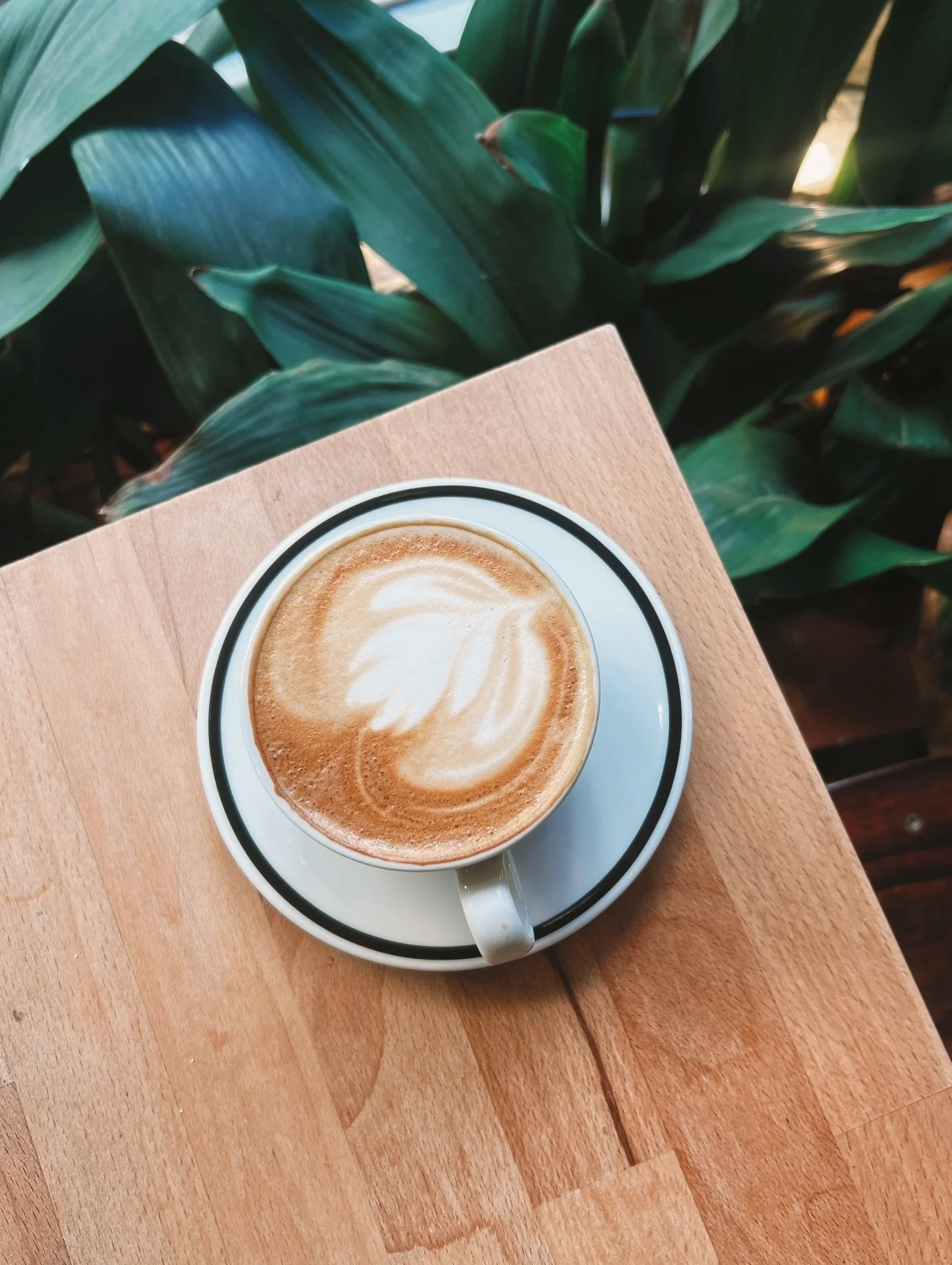 Cappucino ☕️
.
Le caf&eacute; acacia sera ouvert pendant toutes les vacances scolaires 7/7