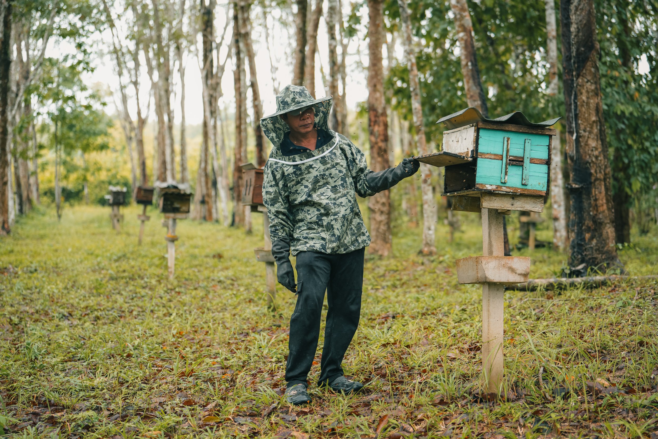 A person in camouflage clothing and a protective hat tending to a row of beehives in a forested area.
