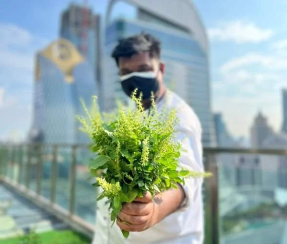 Person holding a bouquet of green flowers and plants on a rooftop with city buildings in the background
